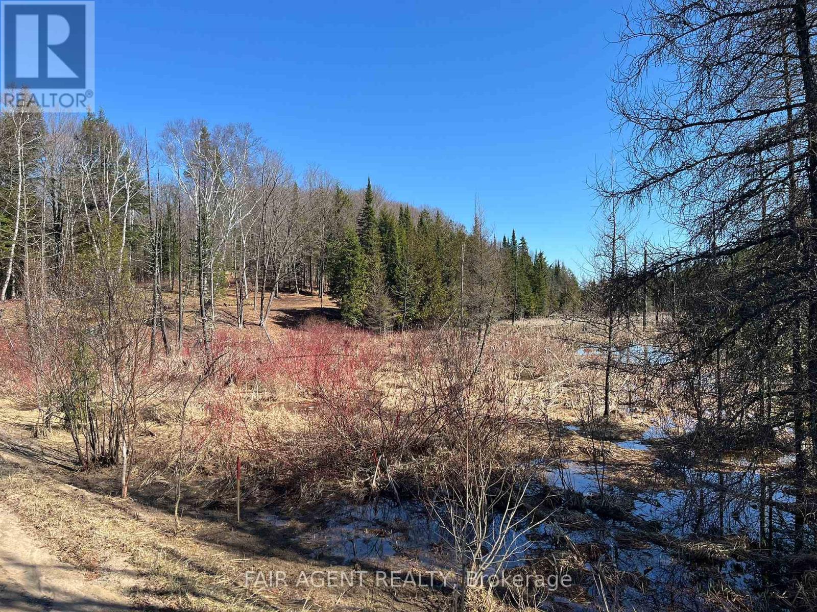 1270 Old Donald Road, Dysart Et Al, Ontario  K0M 1S0 - Photo 11 - X13029536