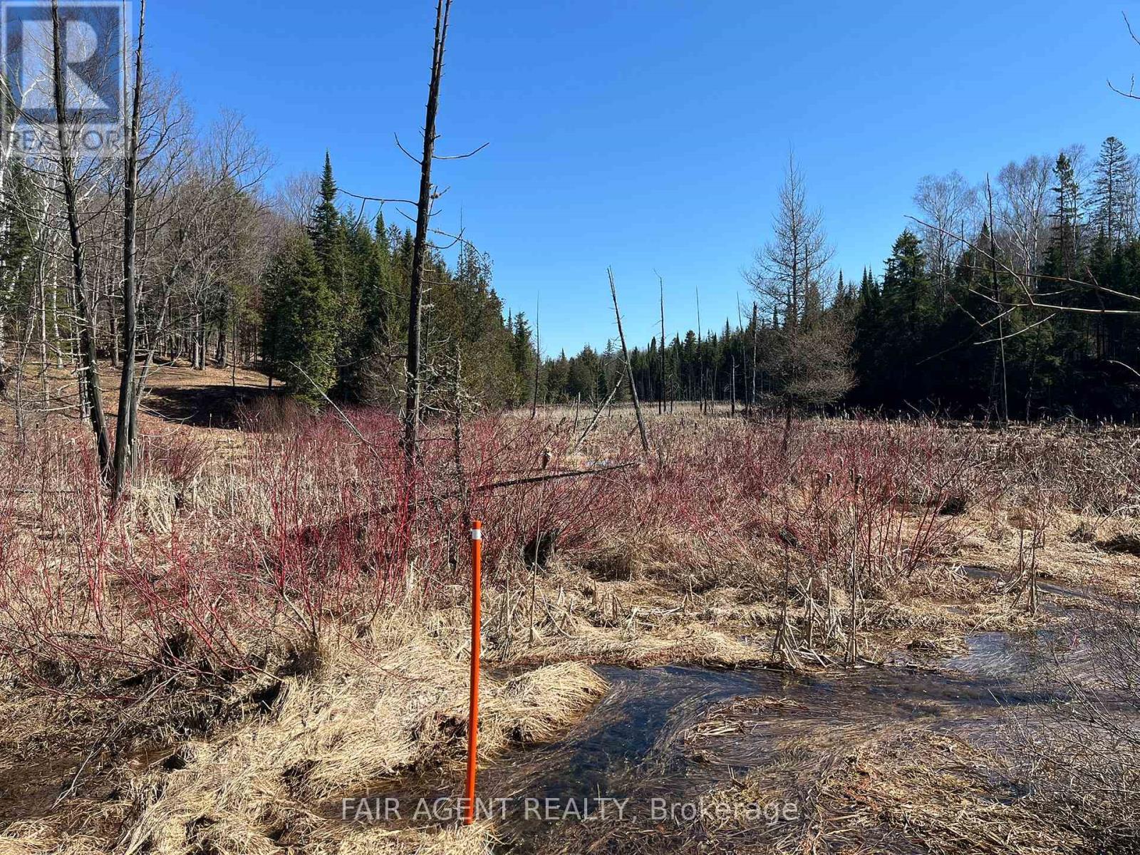 1270 Old Donald Road, Dysart Et Al, Ontario  K0M 1S0 - Photo 13 - X13029536