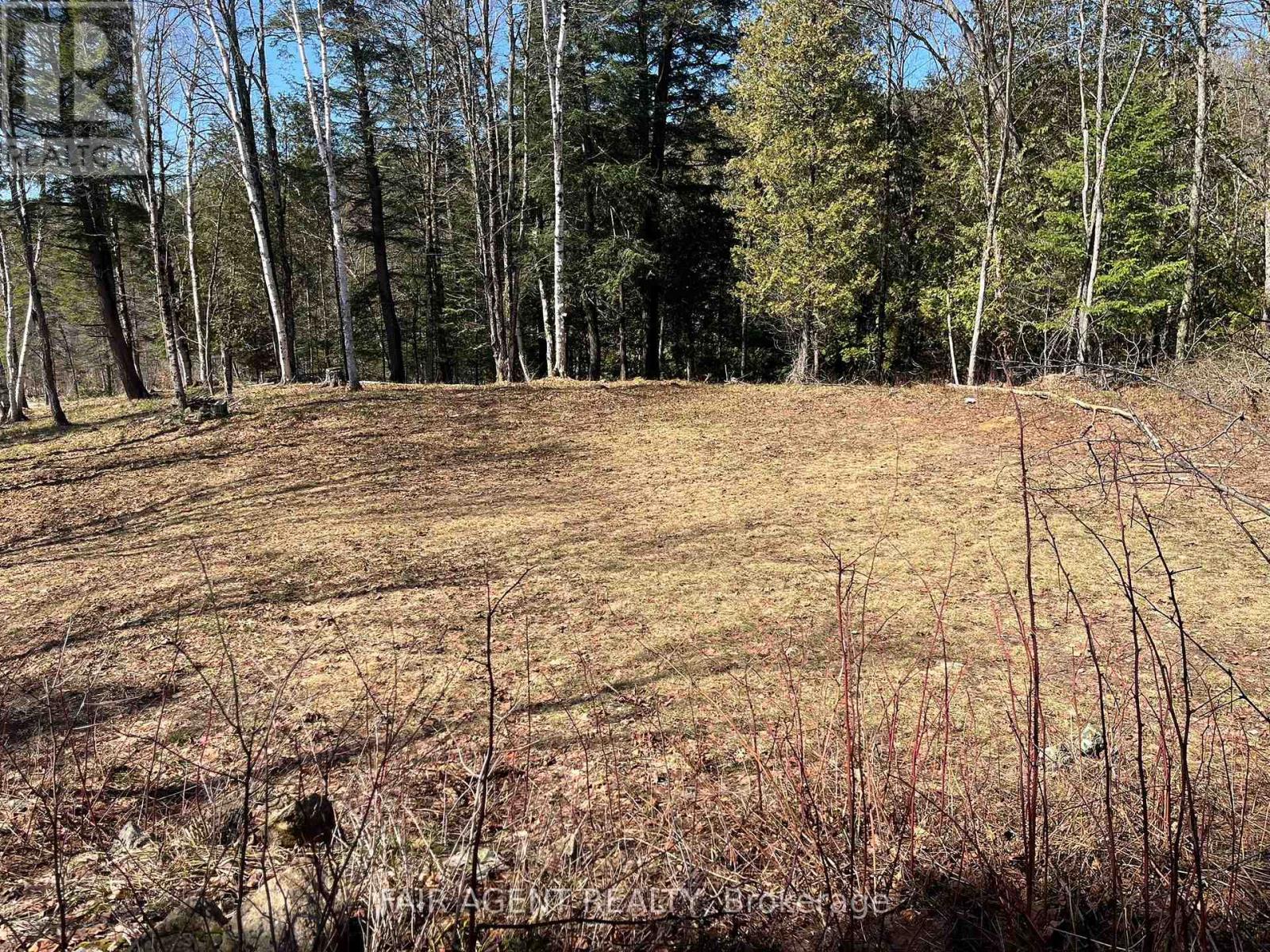 1270 Old Donald Road, Dysart Et Al, Ontario  K0M 1S0 - Photo 14 - X13029536