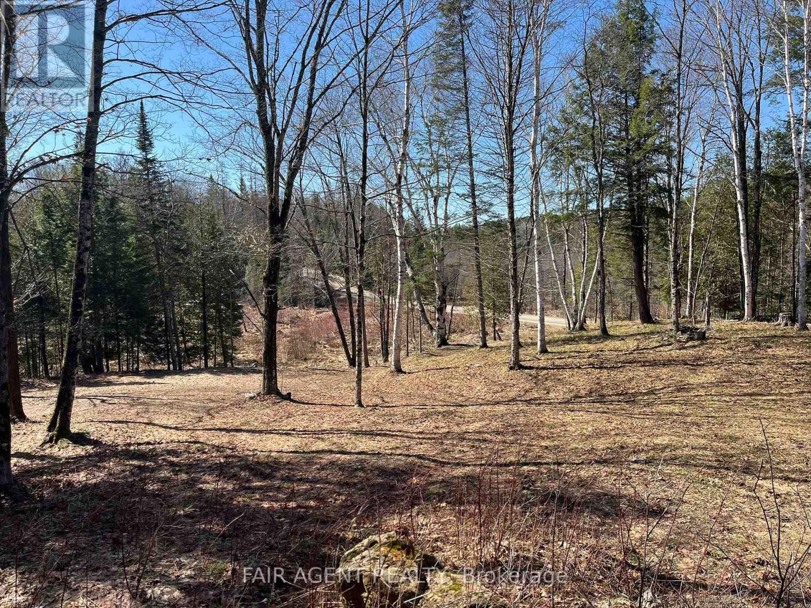 1270 Old Donald Road, Dysart Et Al, Ontario  K0M 1S0 - Photo 15 - X13029536