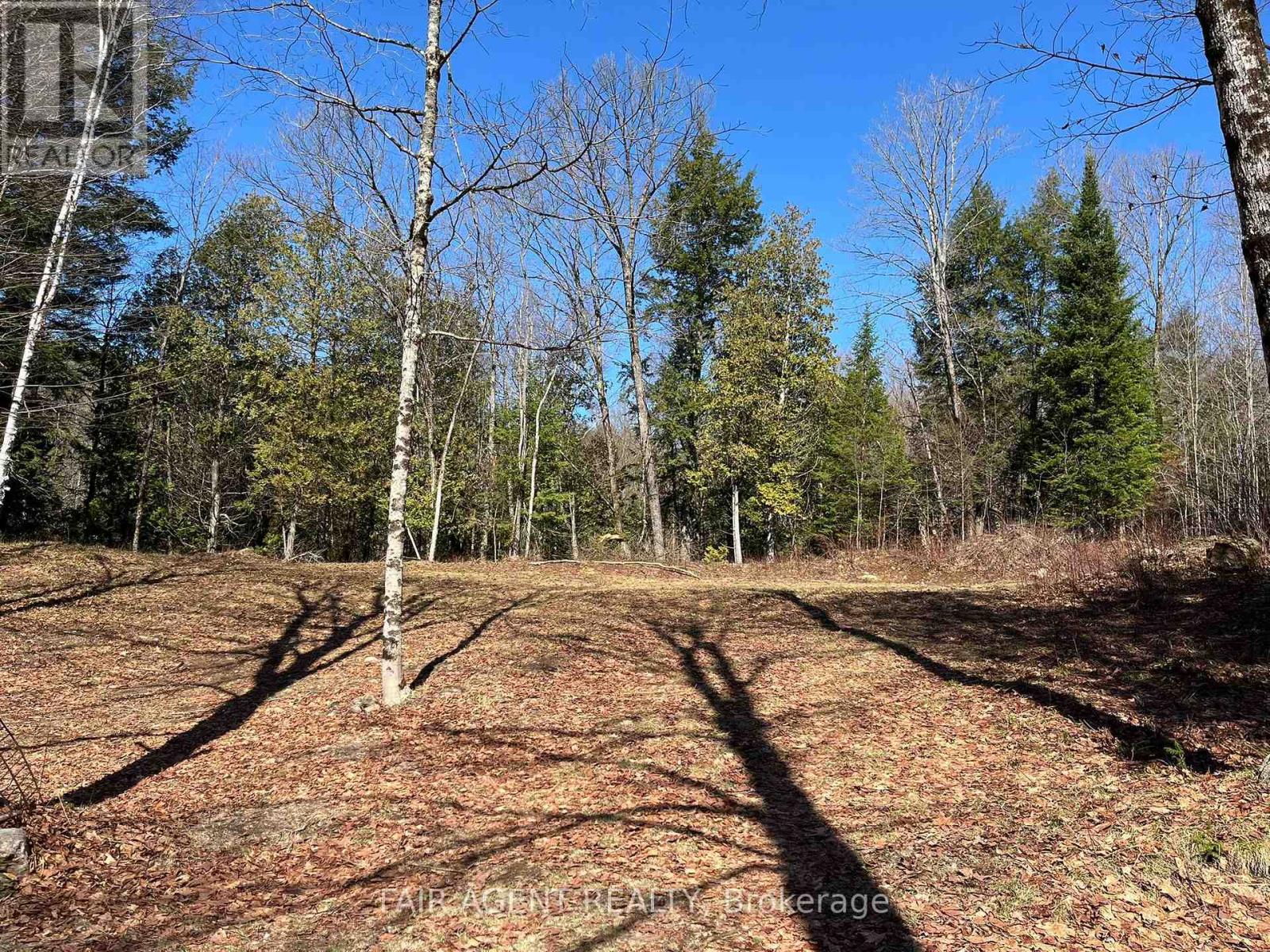 1270 Old Donald Road, Dysart Et Al, Ontario  K0M 1S0 - Photo 16 - X13029536