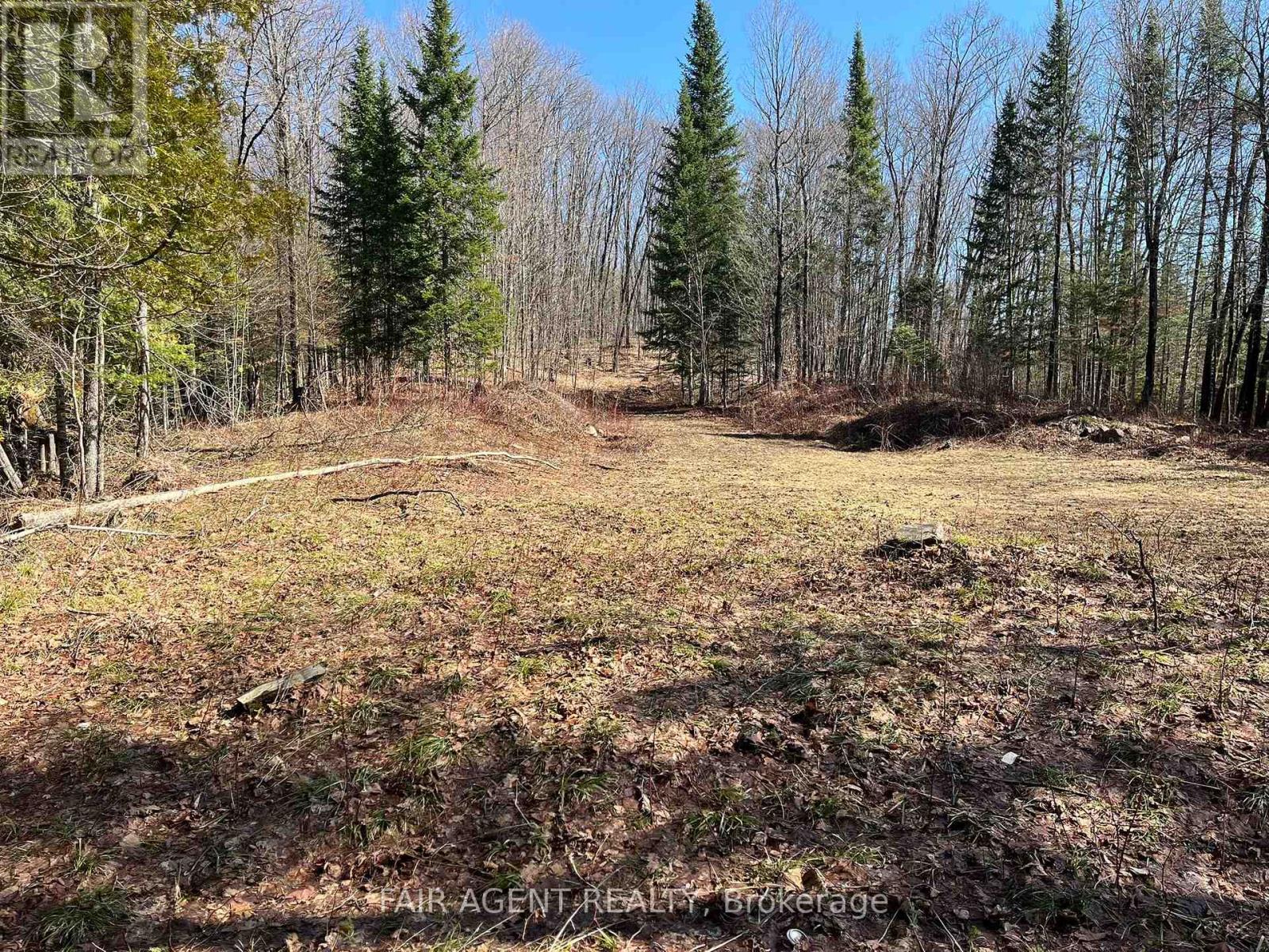 1270 Old Donald Road, Dysart Et Al, Ontario  K0M 1S0 - Photo 18 - X13029536