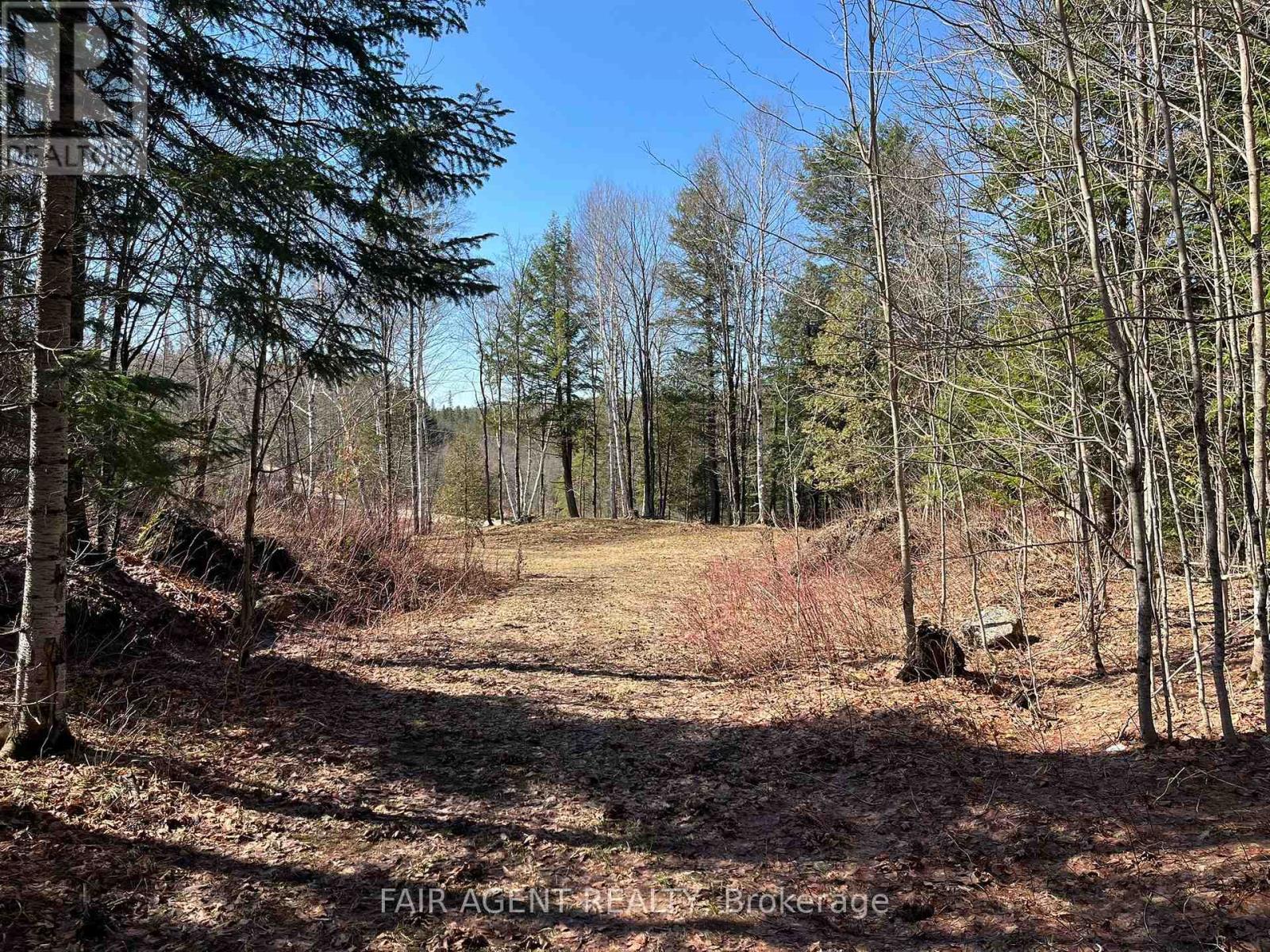 1270 Old Donald Road, Dysart Et Al, Ontario  K0M 1S0 - Photo 19 - X13029536