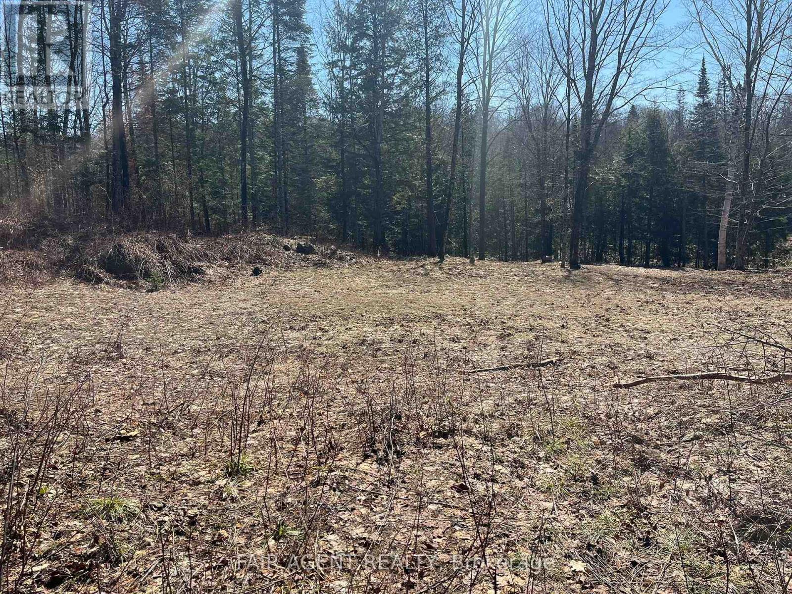 1270 Old Donald Road, Dysart Et Al, Ontario  K0M 1S0 - Photo 2 - X13029536