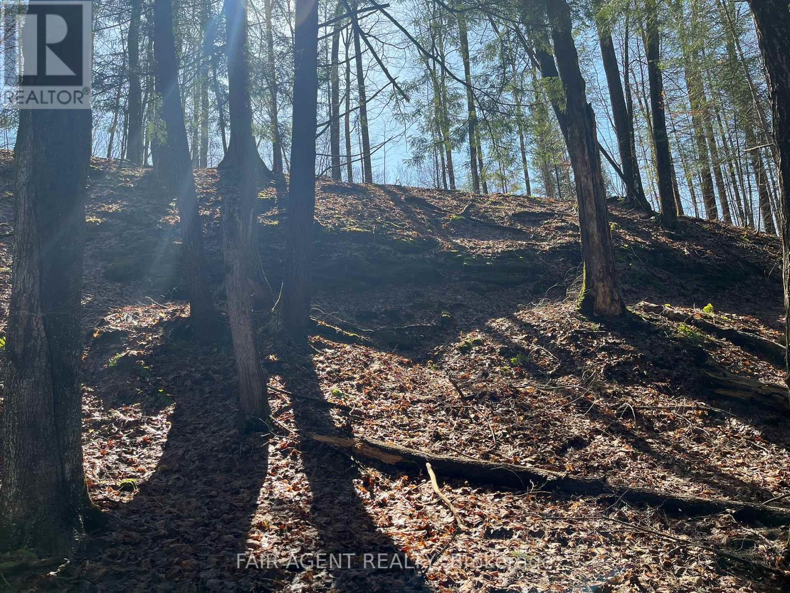 1270 Old Donald Road, Dysart Et Al, Ontario  K0M 1S0 - Photo 20 - X13029536