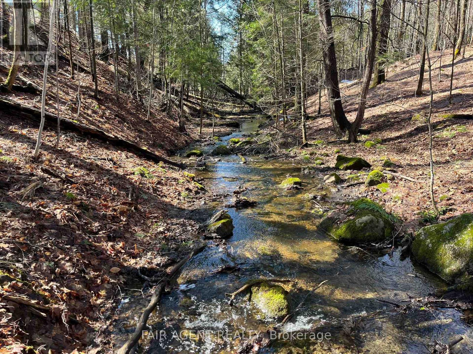 1270 Old Donald Road, Dysart Et Al, Ontario  K0M 1S0 - Photo 21 - X13029536