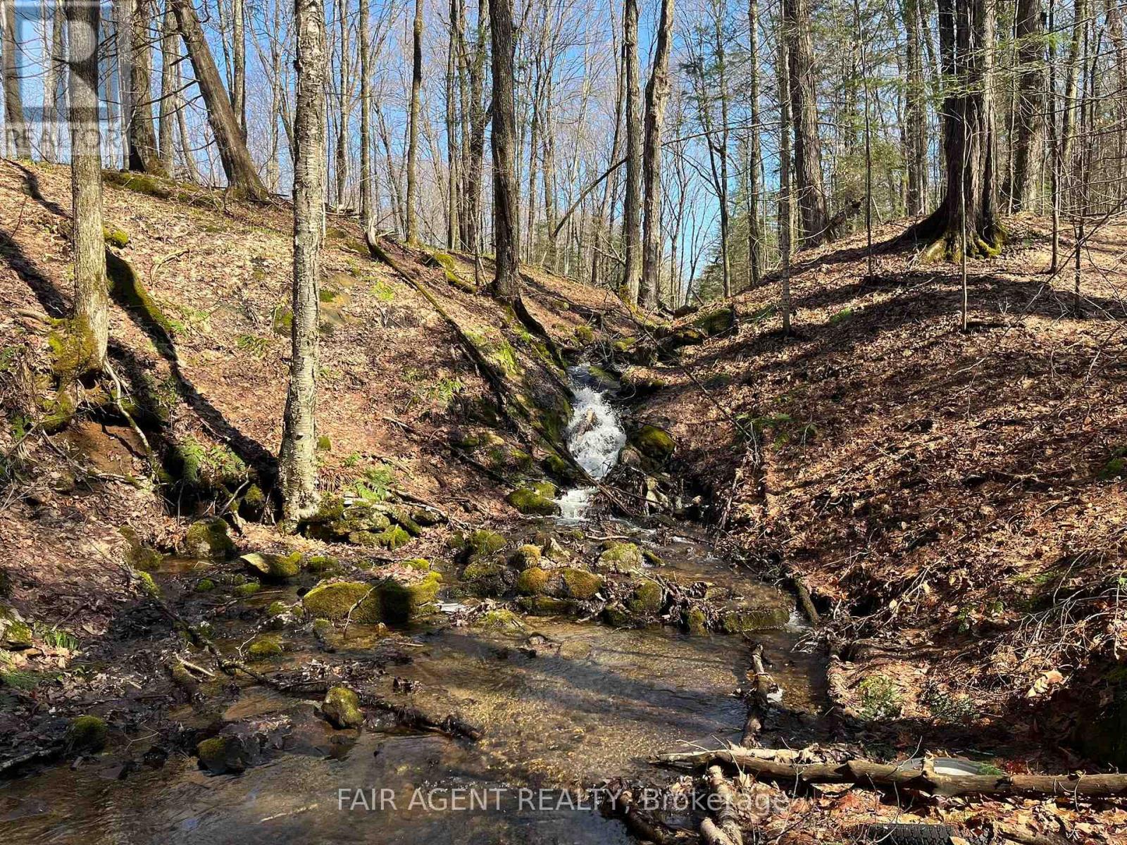 1270 Old Donald Road, Dysart Et Al, Ontario  K0M 1S0 - Photo 22 - X13029536