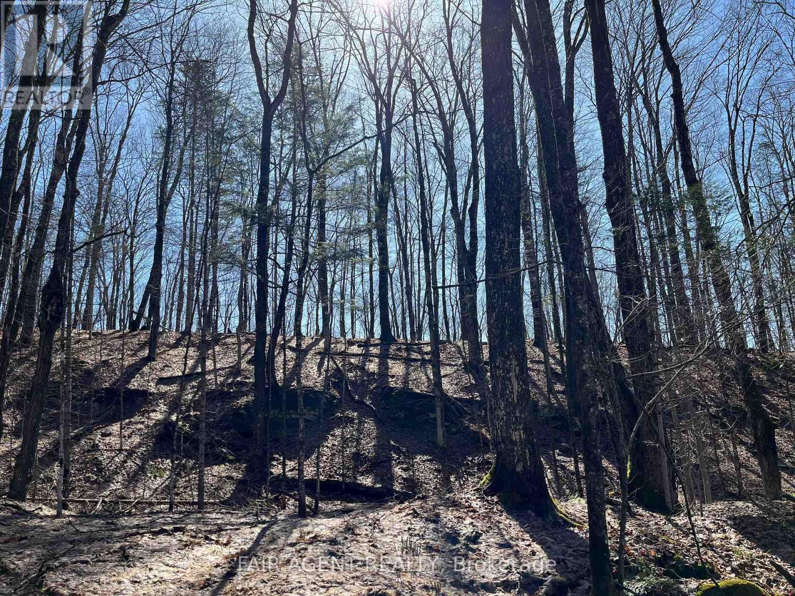 1270 Old Donald Road, Dysart Et Al, Ontario  K0M 1S0 - Photo 23 - X13029536