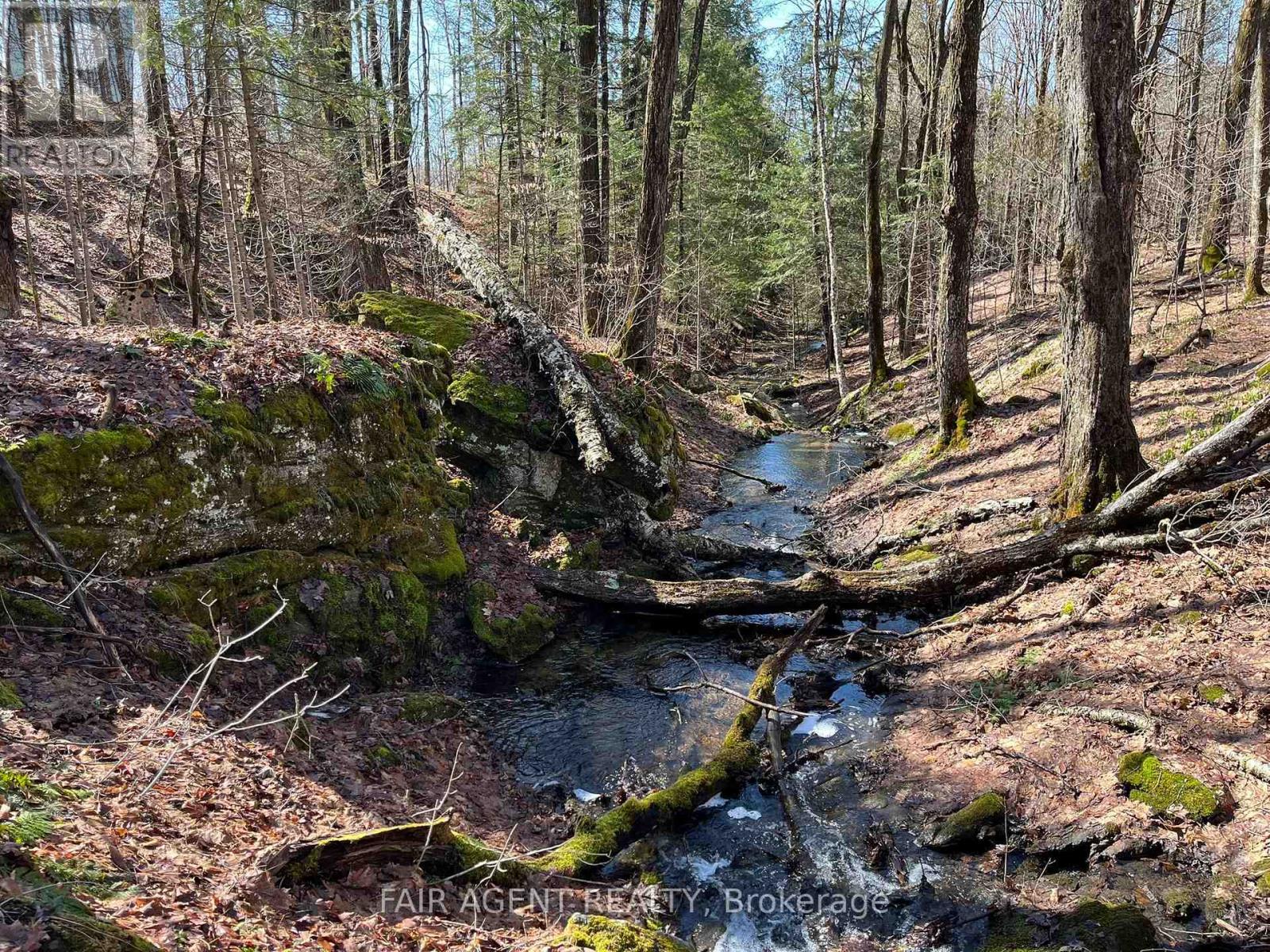 1270 Old Donald Road, Dysart Et Al, Ontario  K0M 1S0 - Photo 24 - X13029536