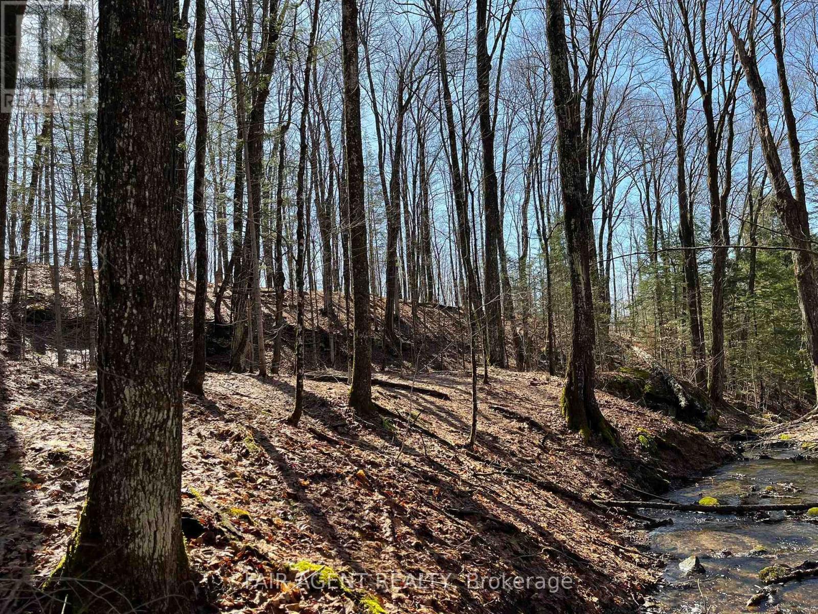 1270 Old Donald Road, Dysart Et Al, Ontario  K0M 1S0 - Photo 25 - X13029536