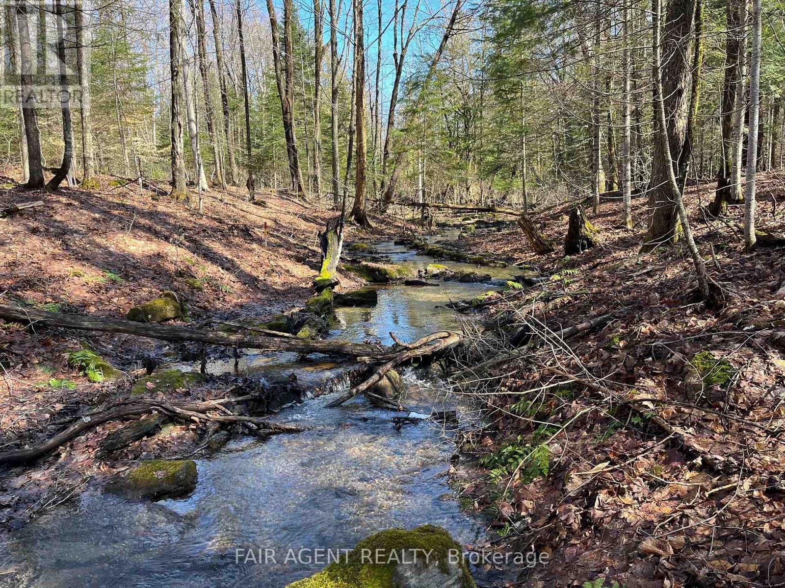 1270 Old Donald Road, Dysart Et Al, Ontario  K0M 1S0 - Photo 26 - X13029536