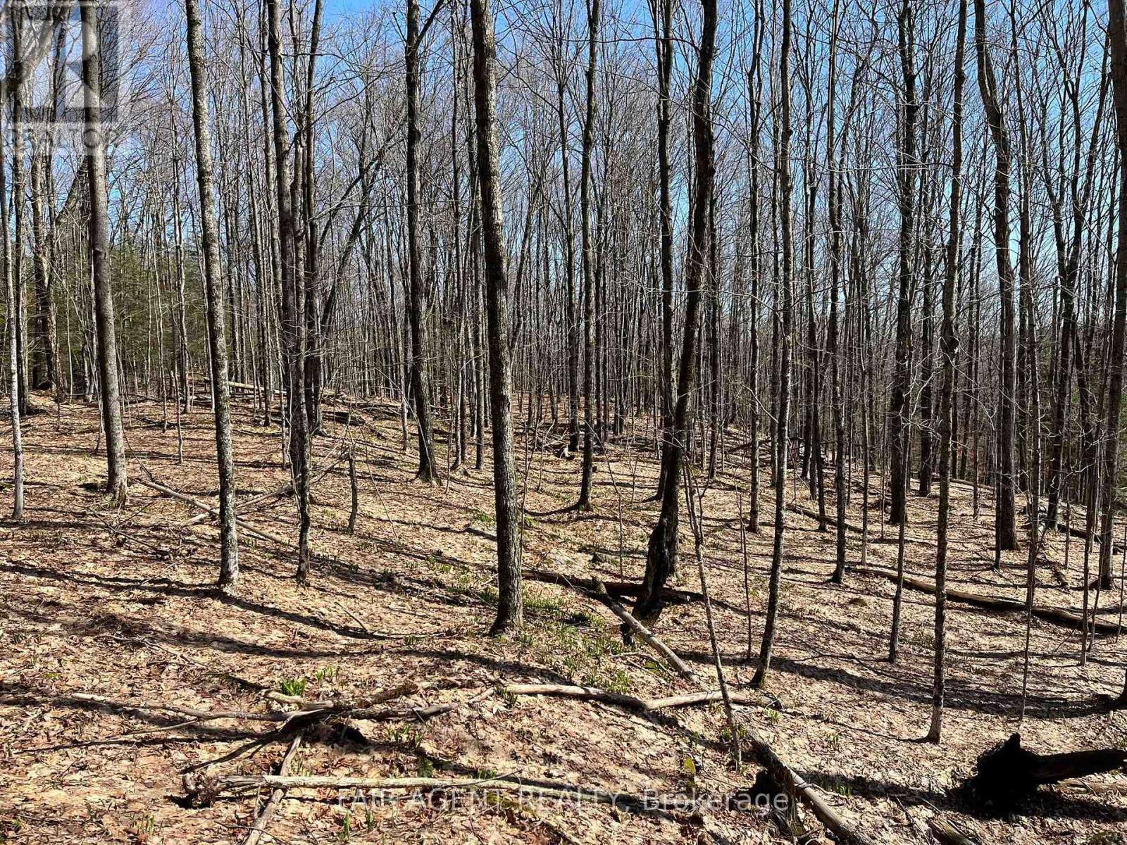 1270 Old Donald Road, Dysart Et Al, Ontario  K0M 1S0 - Photo 28 - X13029536