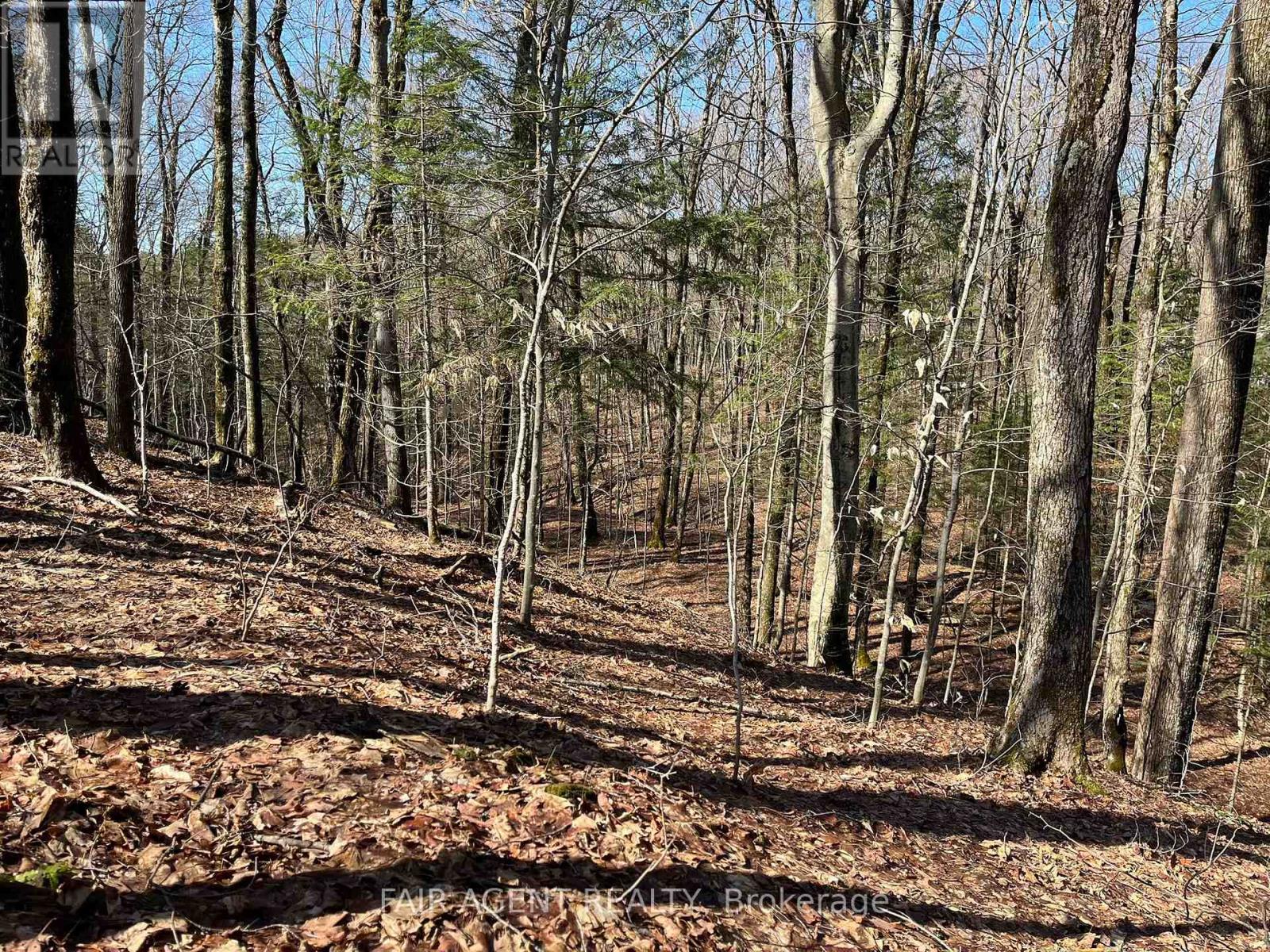 1270 Old Donald Road, Dysart Et Al, Ontario  K0M 1S0 - Photo 29 - X13029536