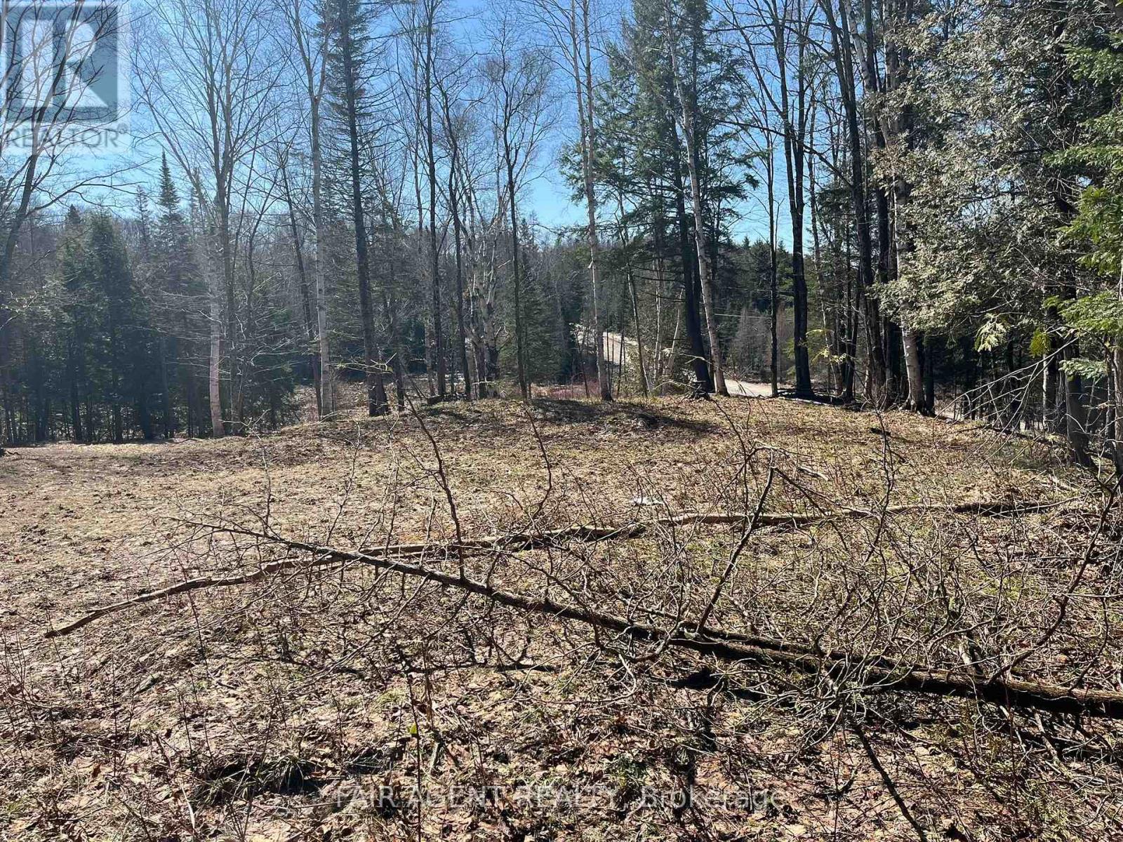 1270 Old Donald Road, Dysart Et Al, Ontario  K0M 1S0 - Photo 3 - X13029536