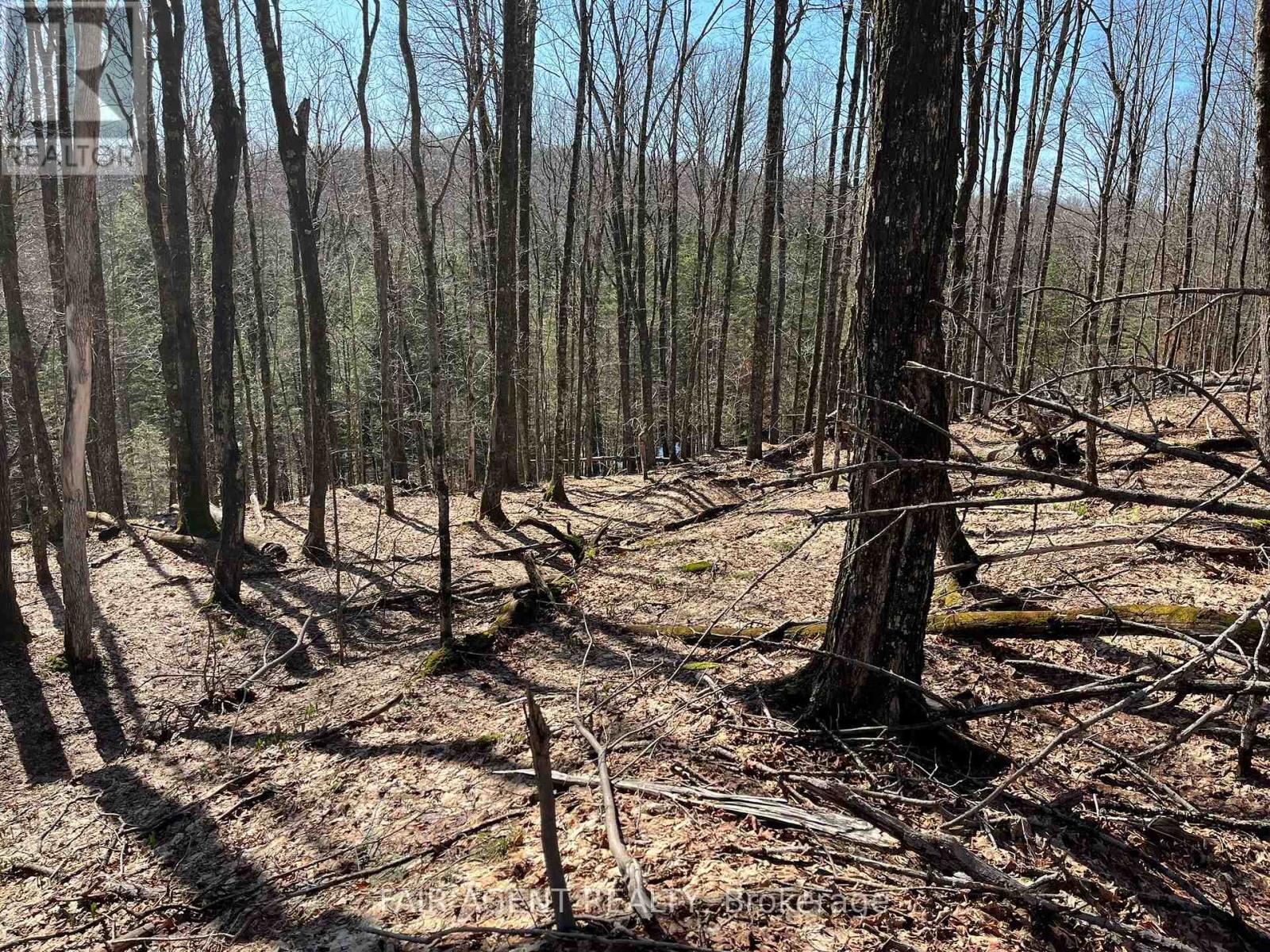 1270 Old Donald Road, Dysart Et Al, Ontario  K0M 1S0 - Photo 30 - X13029536