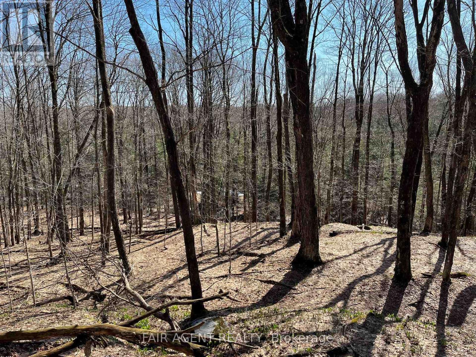 1270 Old Donald Road, Dysart Et Al, Ontario  K0M 1S0 - Photo 31 - X13029536