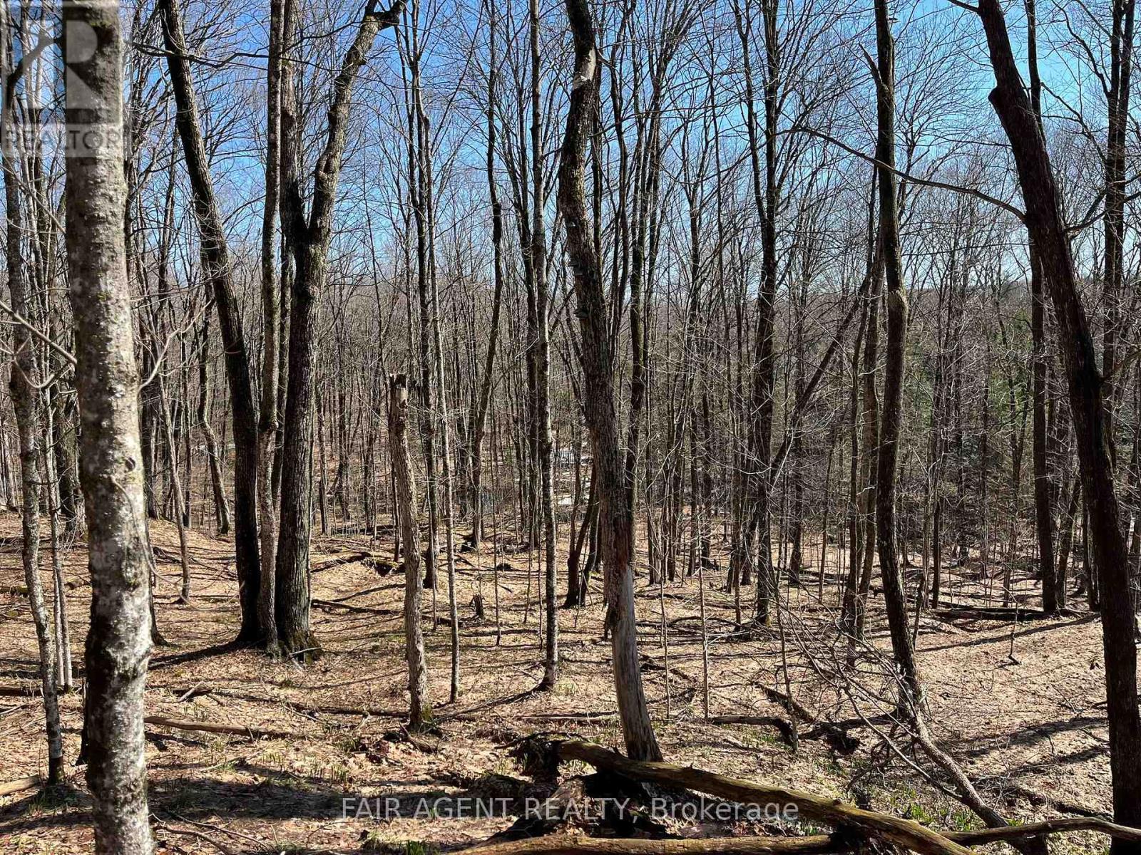 1270 Old Donald Road, Dysart Et Al, Ontario  K0M 1S0 - Photo 32 - X13029536