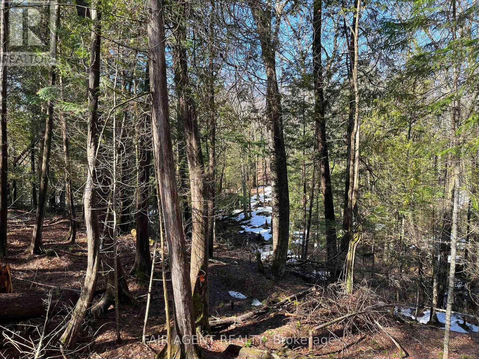 1270 Old Donald Road, Dysart Et Al, Ontario  K0M 1S0 - Photo 33 - X13029536