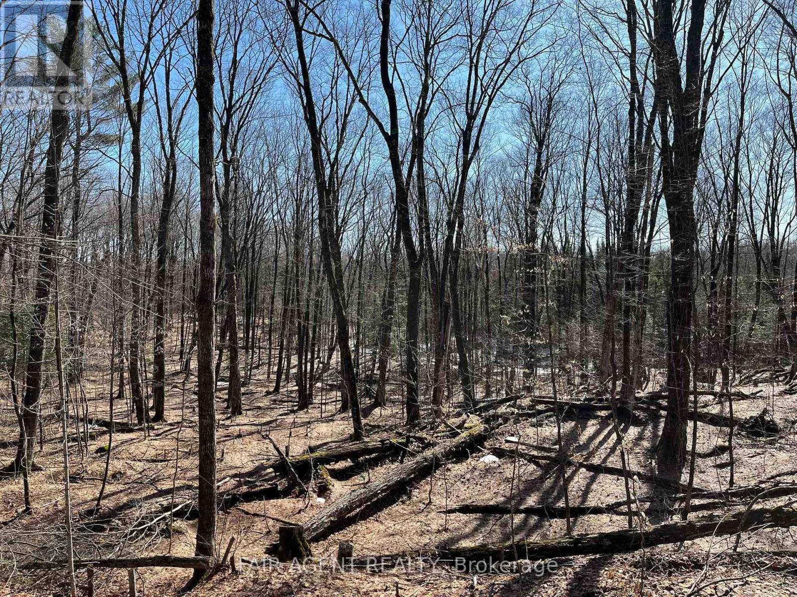 1270 Old Donald Road, Dysart Et Al, Ontario  K0M 1S0 - Photo 34 - X13029536