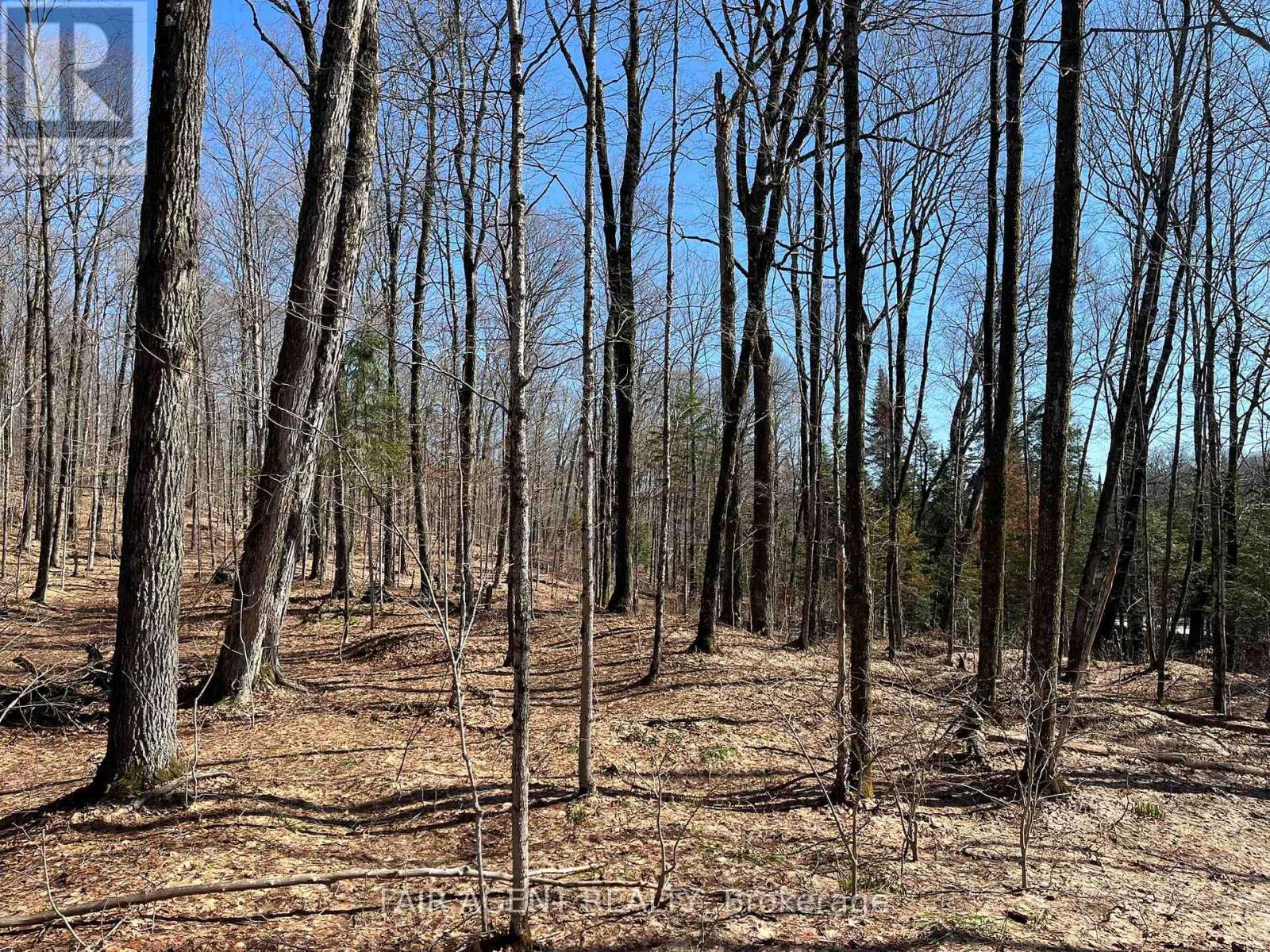 1270 Old Donald Road, Dysart Et Al, Ontario  K0M 1S0 - Photo 35 - X13029536