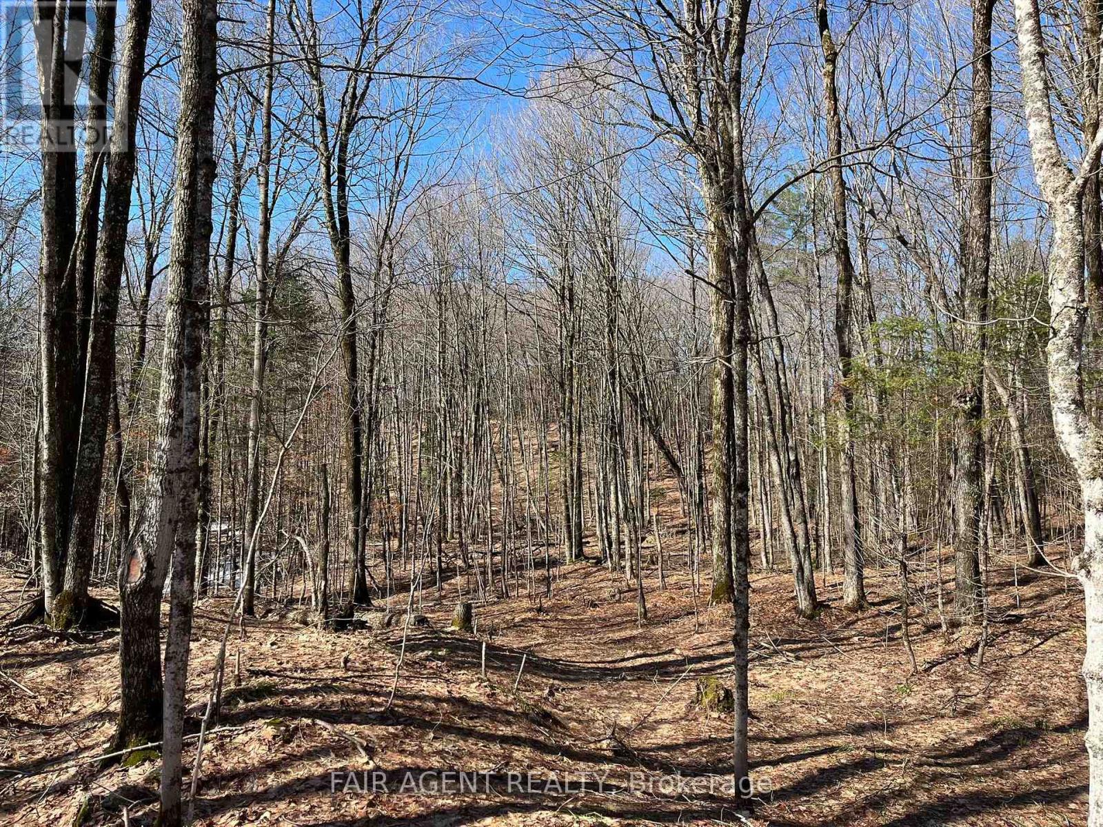 1270 Old Donald Road, Dysart Et Al, Ontario  K0M 1S0 - Photo 36 - X13029536