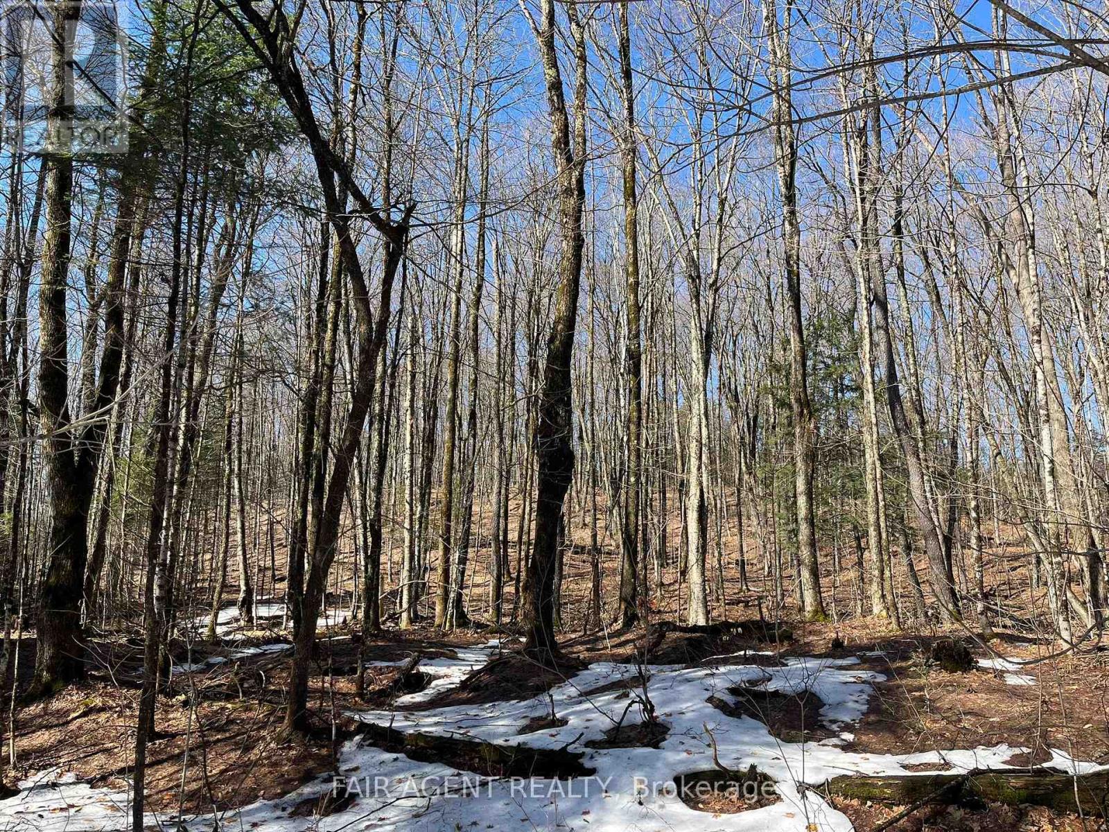 1270 Old Donald Road, Dysart Et Al, Ontario  K0M 1S0 - Photo 37 - X13029536