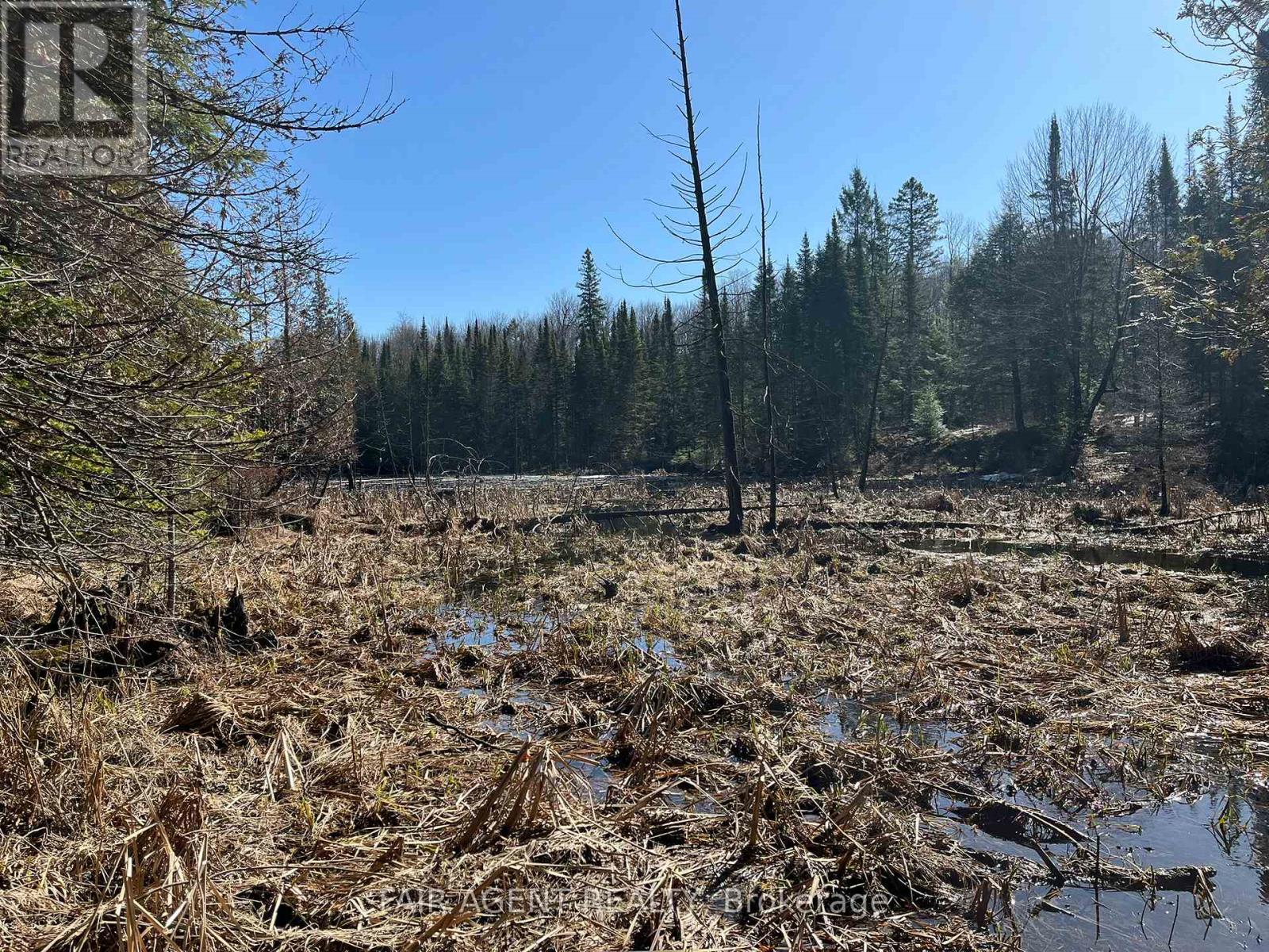 1270 Old Donald Road, Dysart Et Al, Ontario  K0M 1S0 - Photo 38 - X13029536