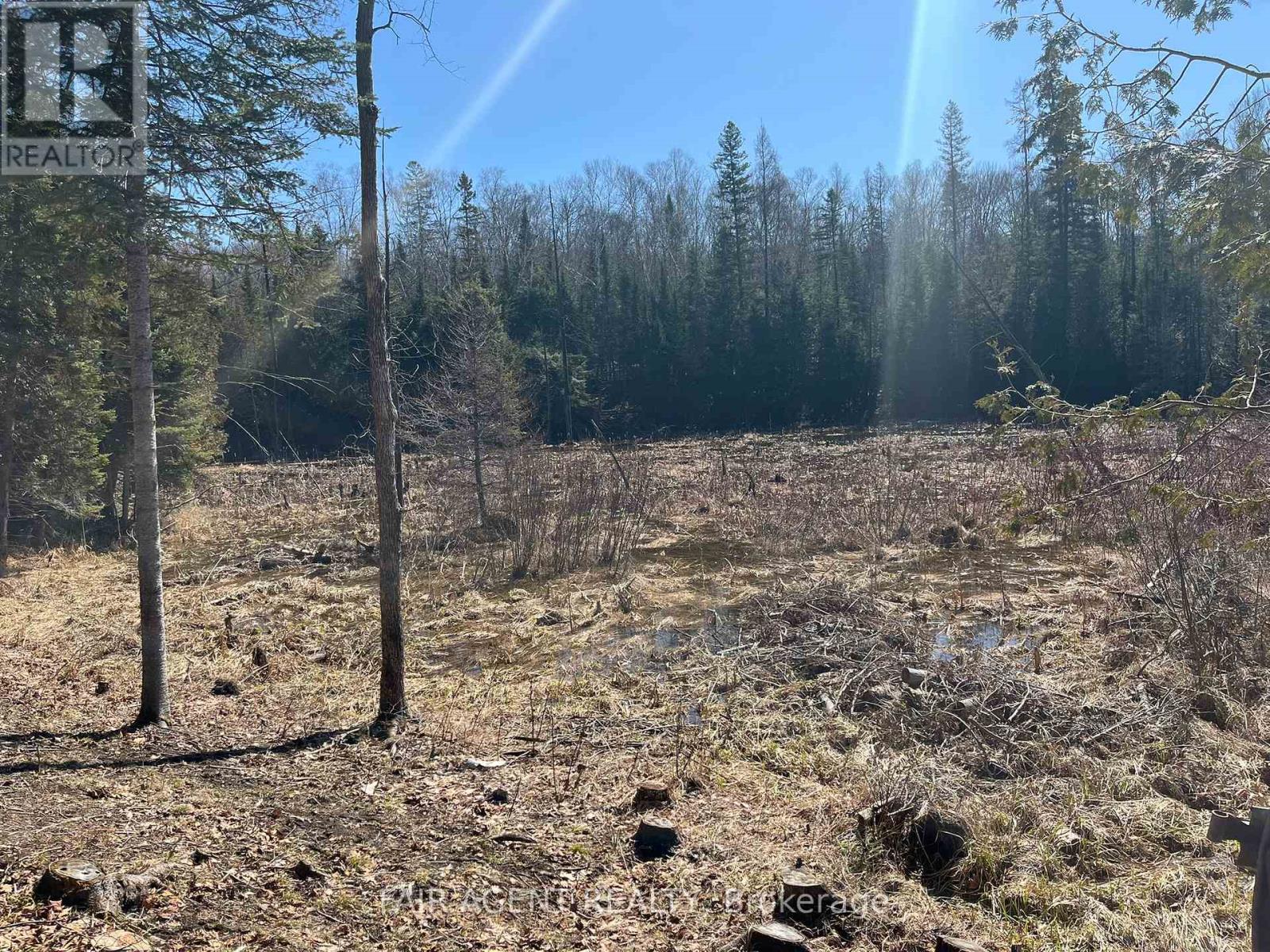 1270 Old Donald Road, Dysart Et Al, Ontario  K0M 1S0 - Photo 4 - X13029536