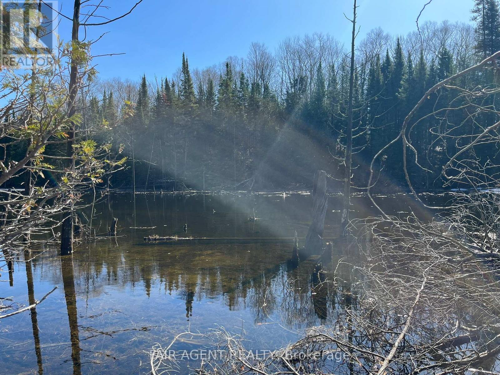 1270 Old Donald Road, Dysart Et Al, Ontario  K0M 1S0 - Photo 40 - X13029536