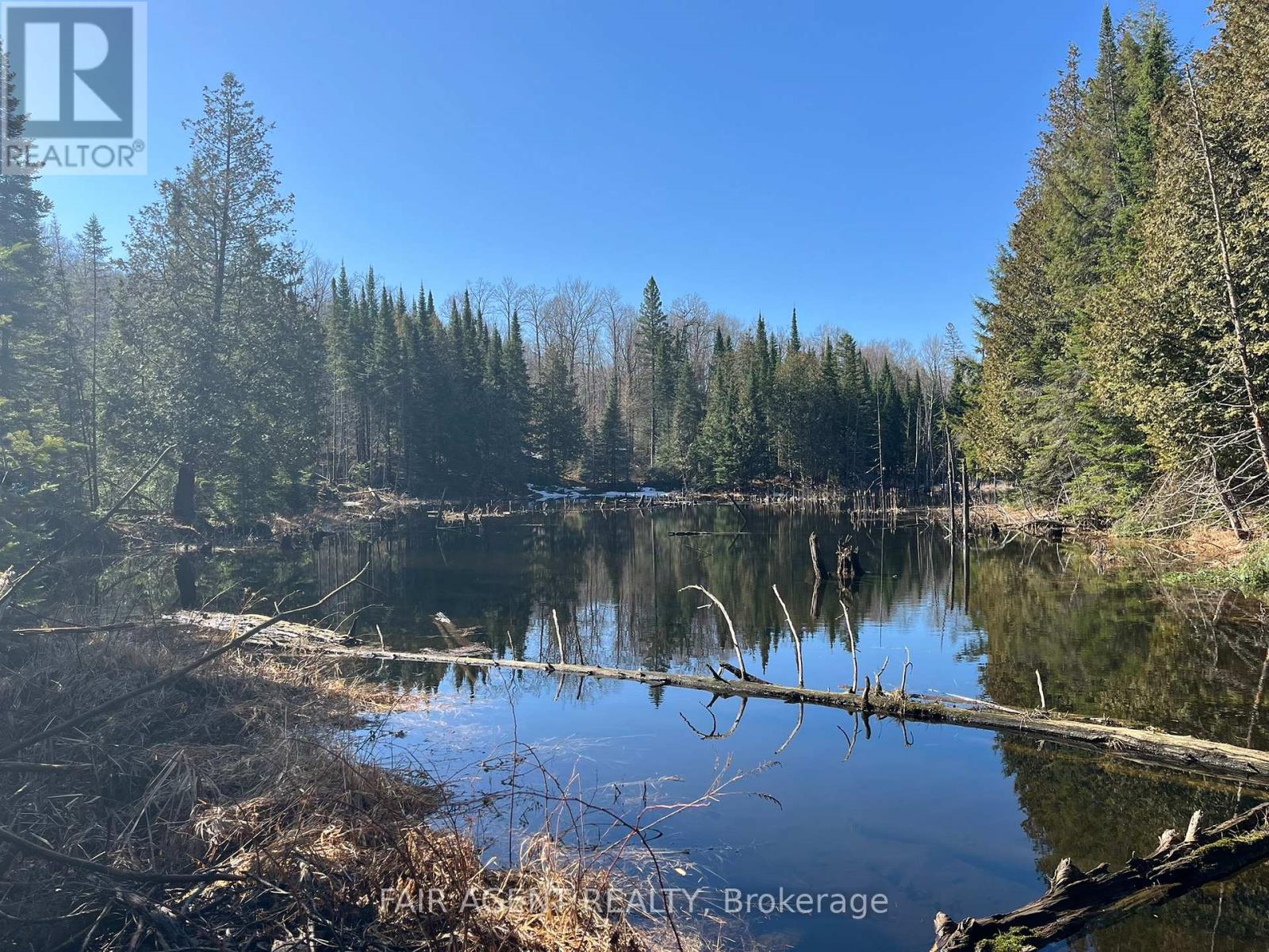 1270 Old Donald Road, Dysart Et Al, Ontario  K0M 1S0 - Photo 41 - X13029536