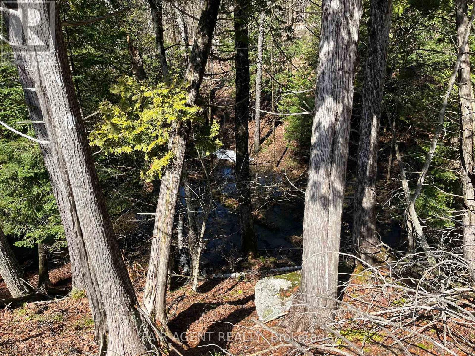 1270 Old Donald Road, Dysart Et Al, Ontario  K0M 1S0 - Photo 42 - X13029536