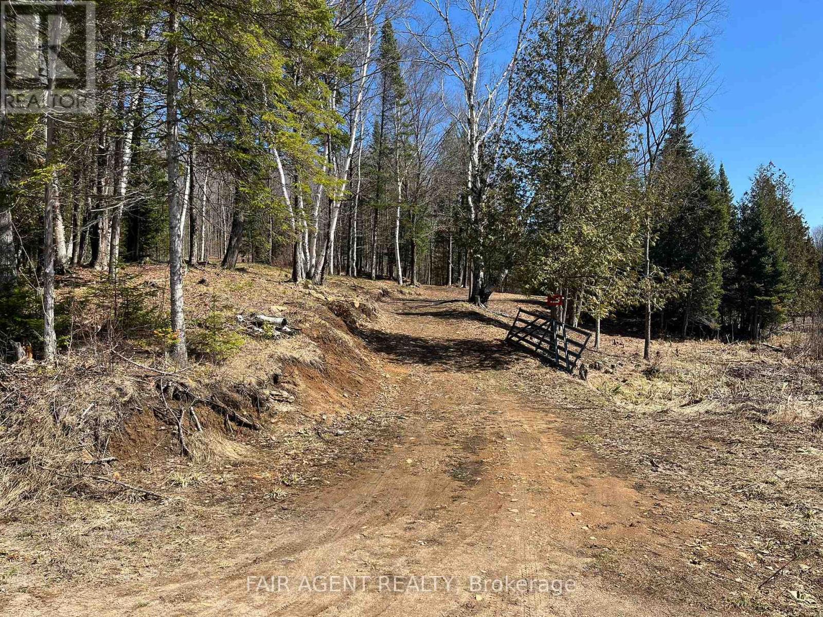 1270 Old Donald Road, Dysart Et Al, Ontario  K0M 1S0 - Photo 5 - X13029536