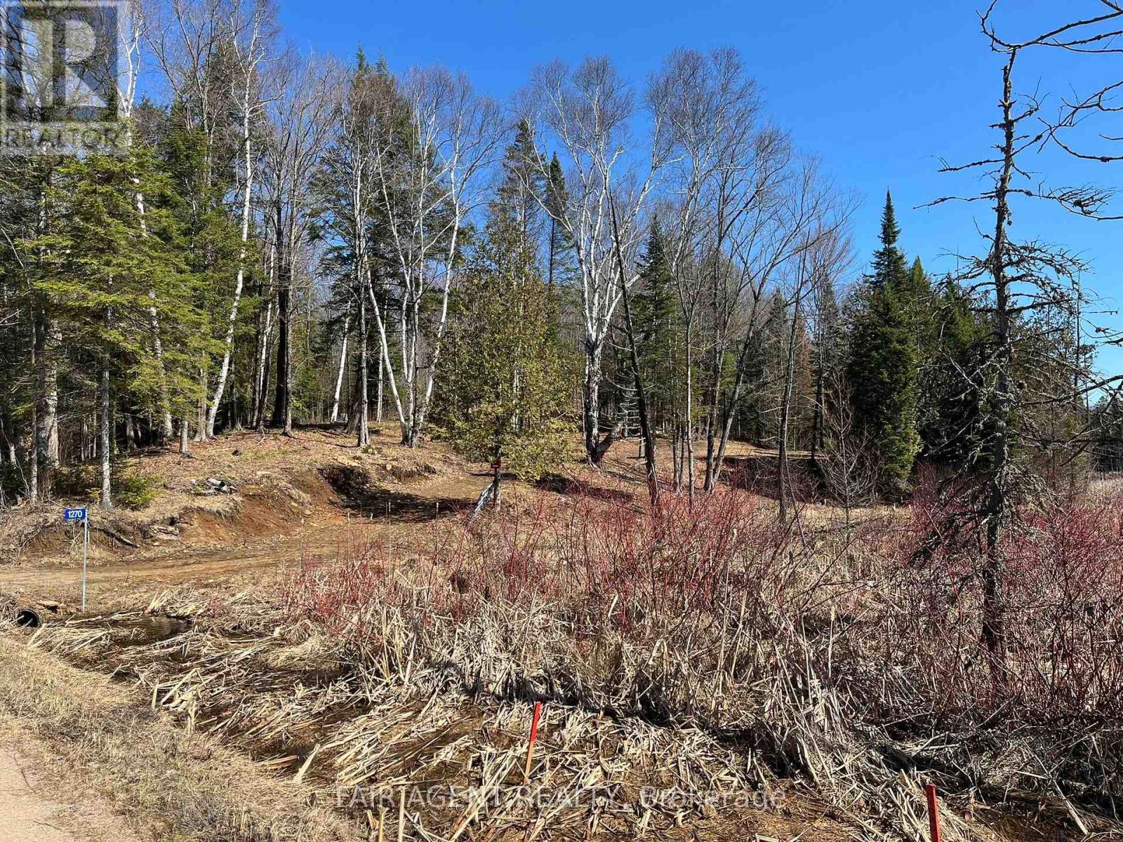 1270 Old Donald Road, Dysart Et Al, Ontario  K0M 1S0 - Photo 6 - X13029536