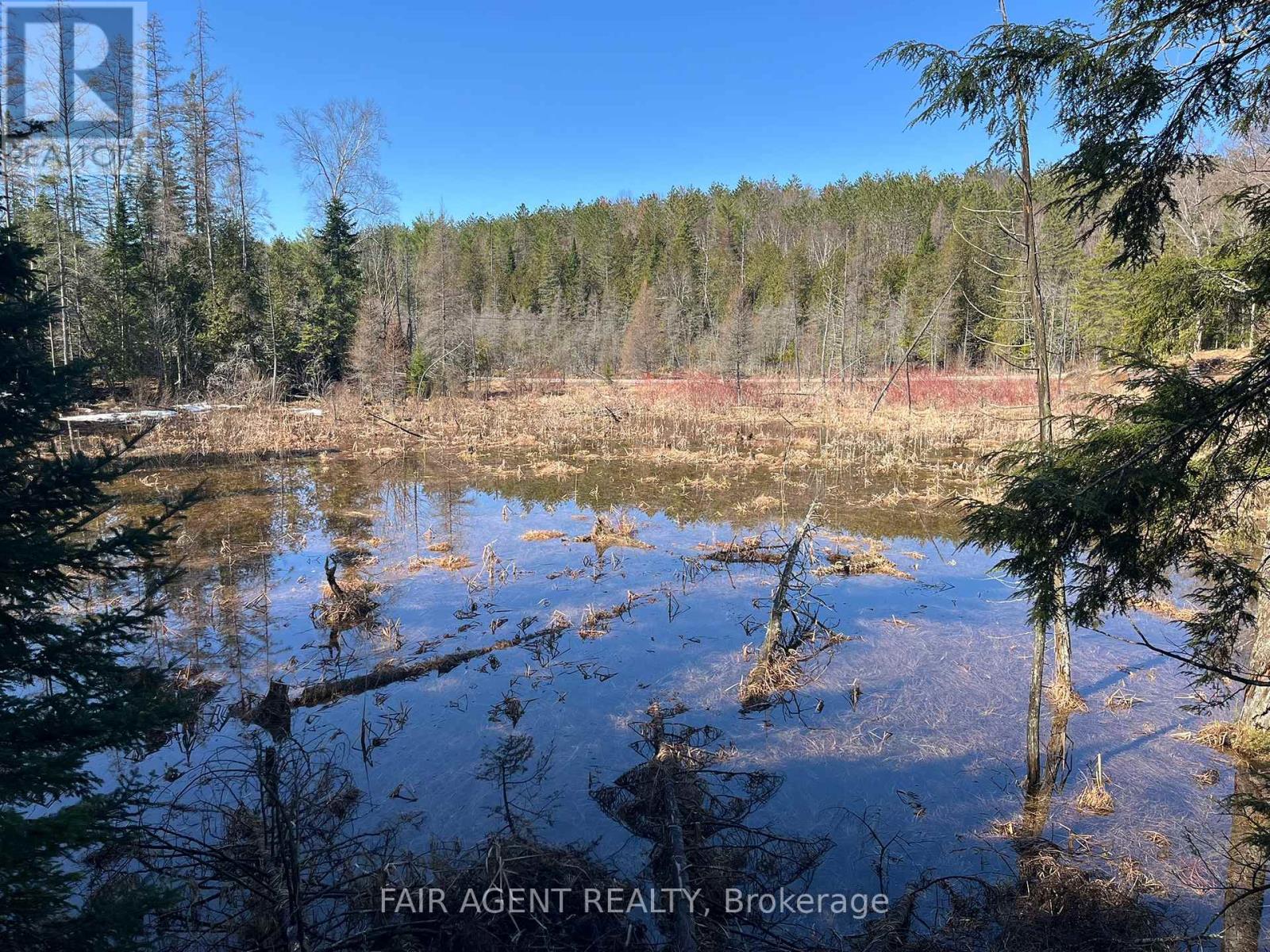 1270 Old Donald Road, Dysart Et Al, Ontario  K0M 1S0 - Photo 8 - X13029536