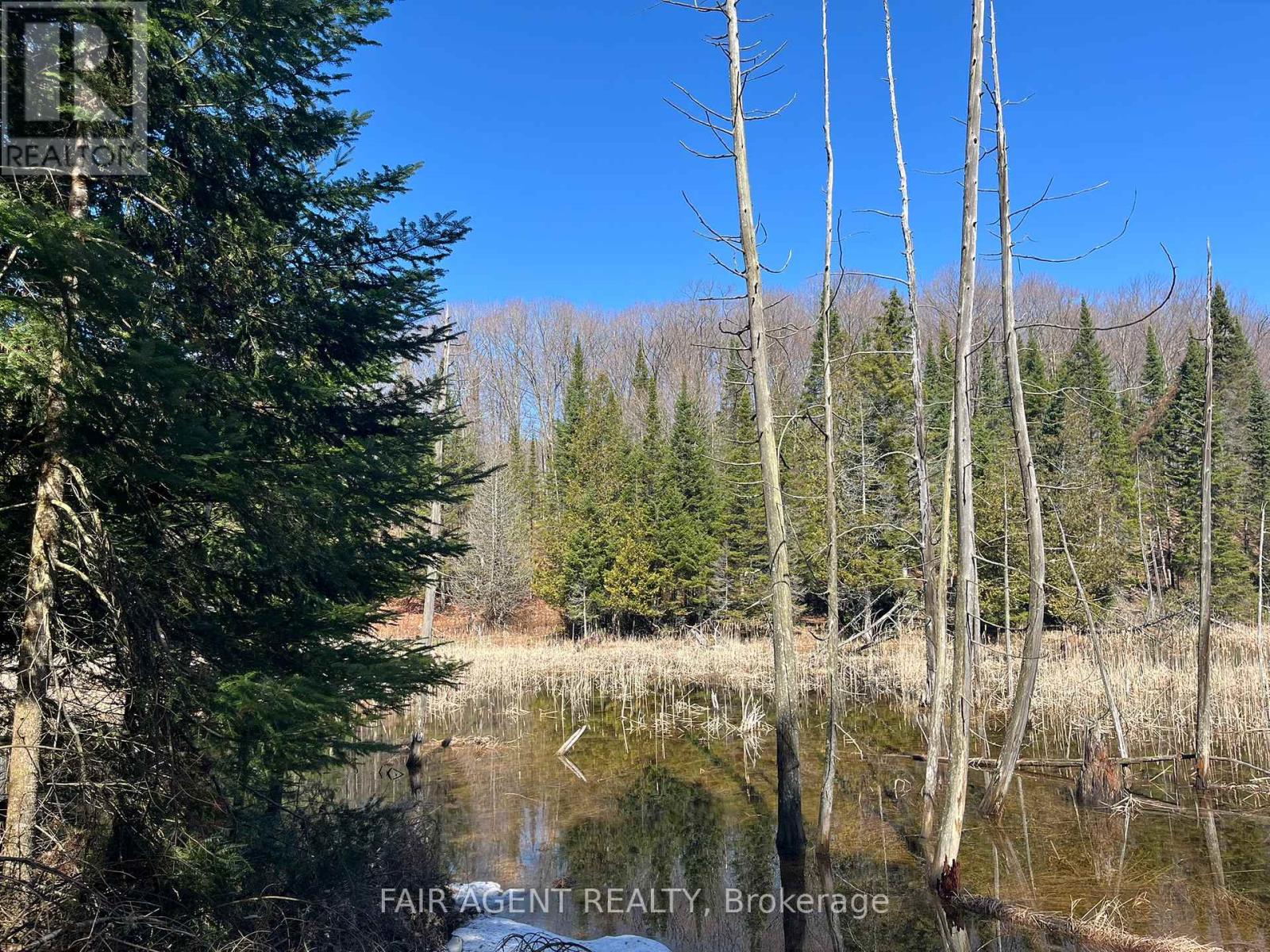 1270 Old Donald Road, Dysart Et Al, Ontario  K0M 1S0 - Photo 9 - X13029536