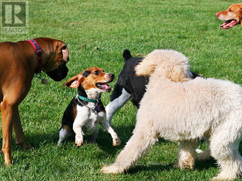 Qmd007 - 490 Empire Road, Port Colborne, Ontario  L0S 1R0 - Photo 18 - X9411347