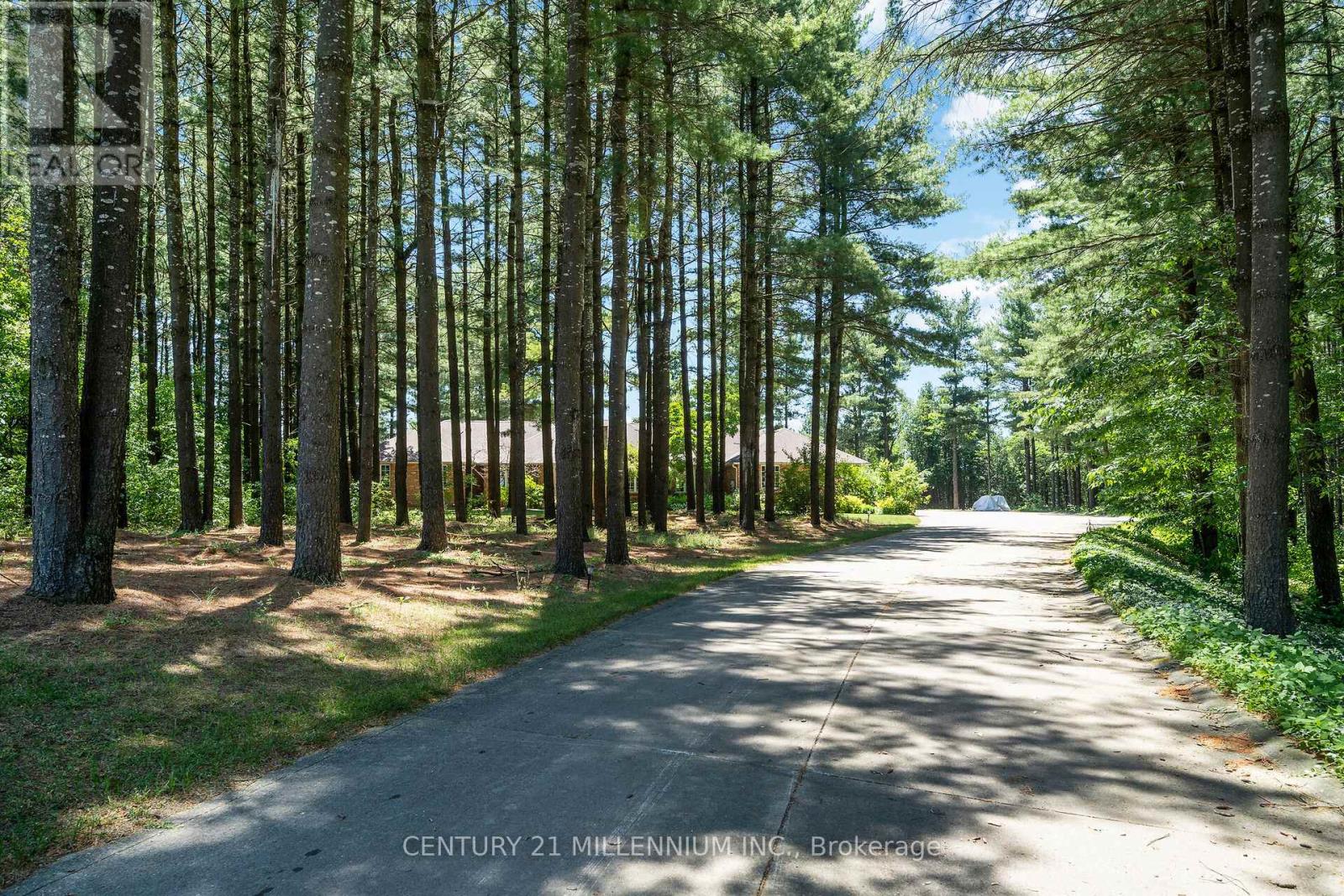 41 Pine Ridge Road, Erin, Ontario  N0B 1T0 - Photo 2 - X12827734