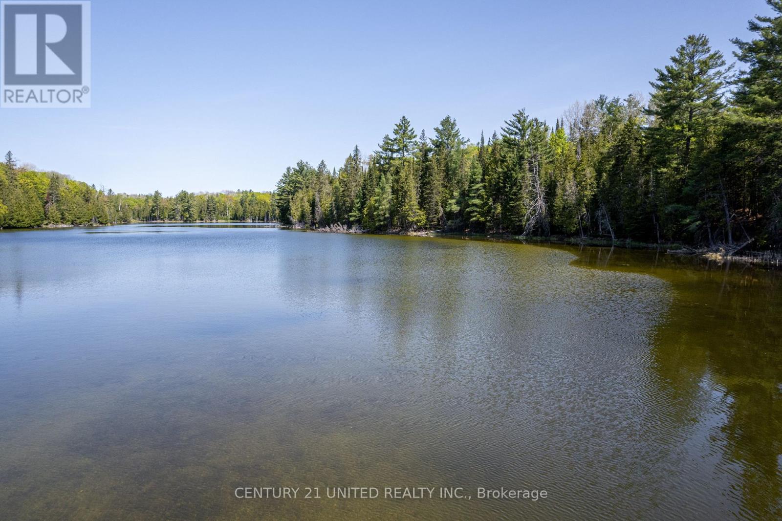 0 Johnson Road, North Kawartha, Ontario  K0L 1A0 - Photo 1 - X13029912