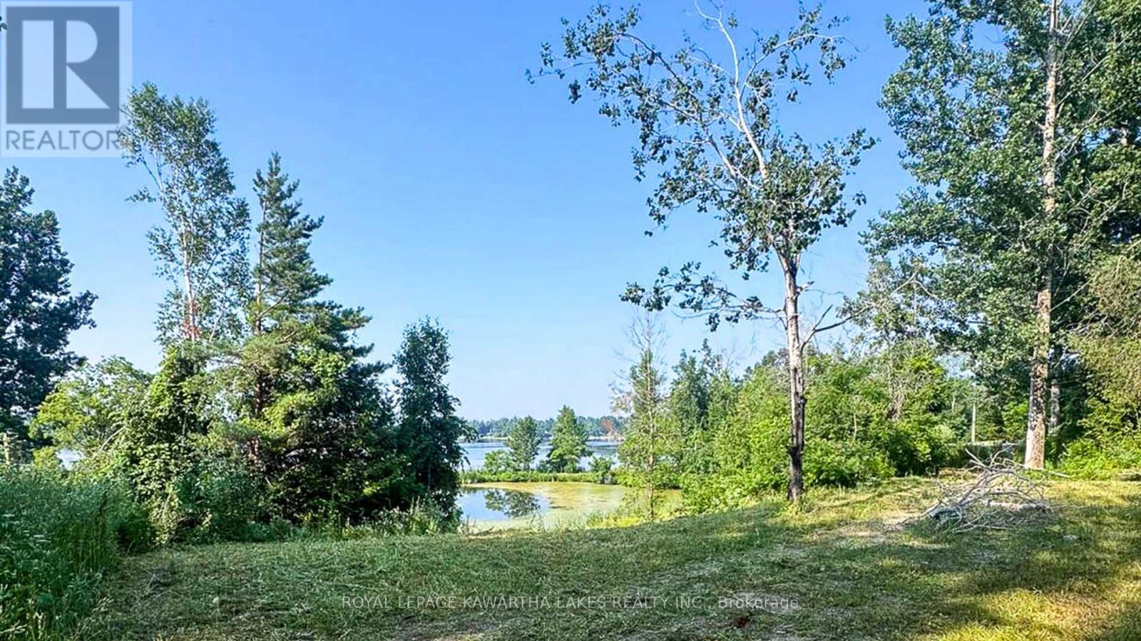 14 Lawson Court, Kawartha Lakes, Ontario  K0L 2W0 - Photo 6 - X13029918