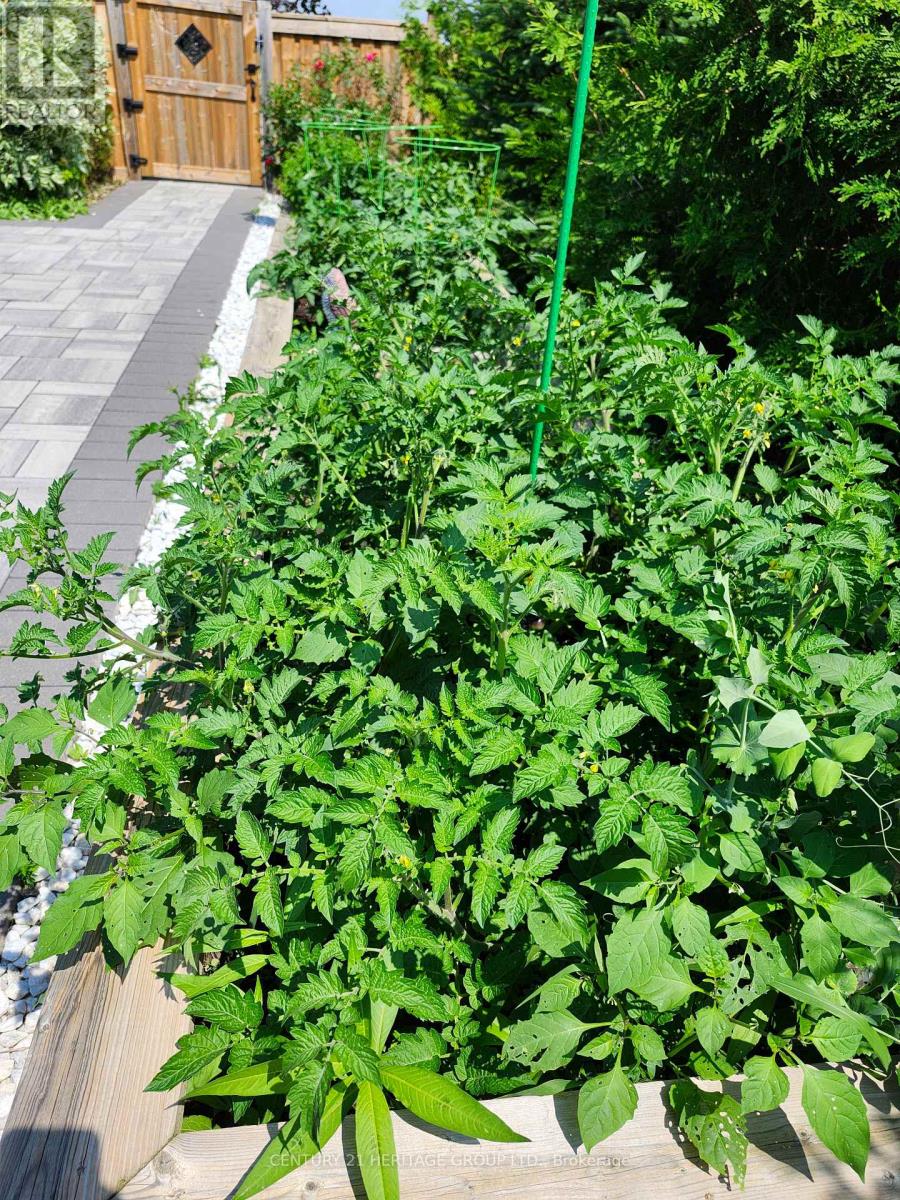 117 Four Seasons Crescent, Newmarket, Ontario  L9N 0C4 - Photo 38 - N13029616