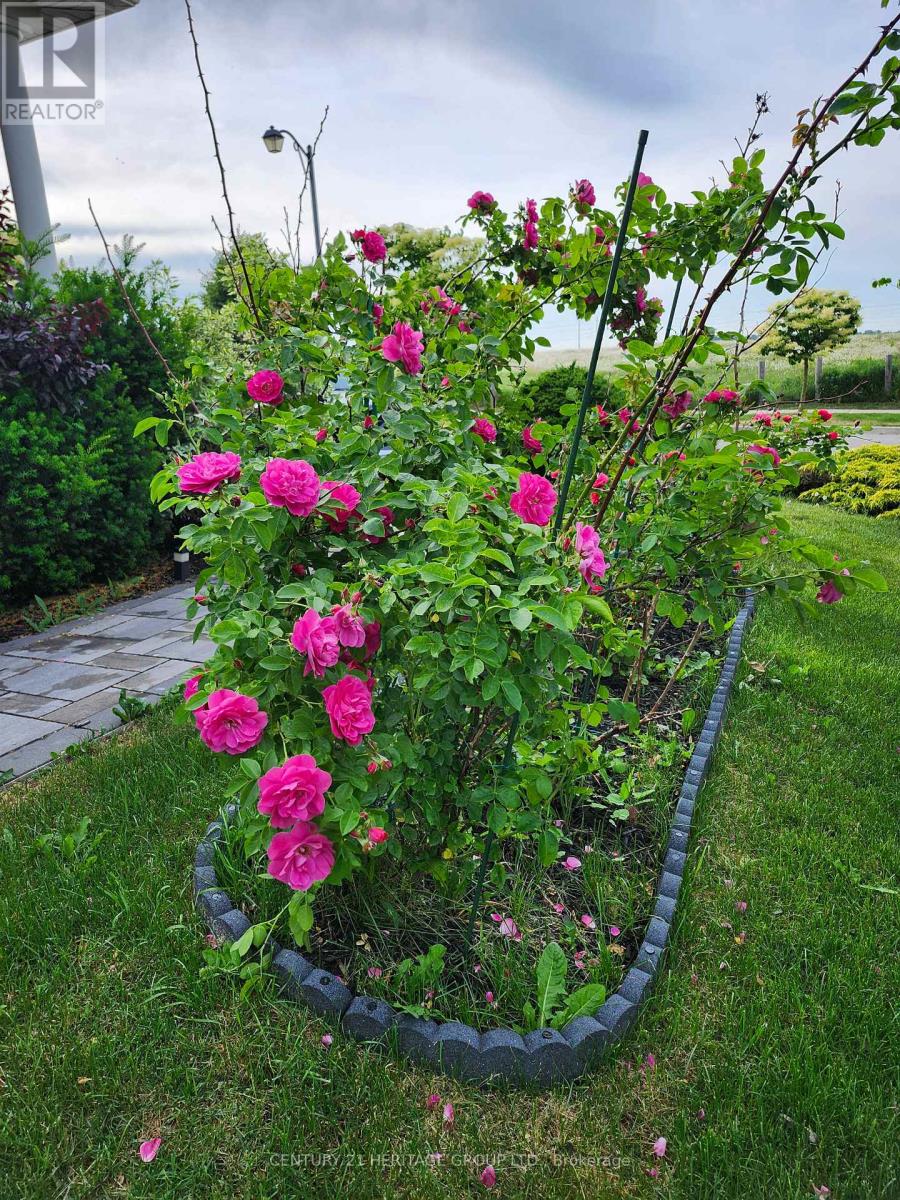 117 Four Seasons Crescent, Newmarket, Ontario  L9N 0C4 - Photo 39 - N13029616