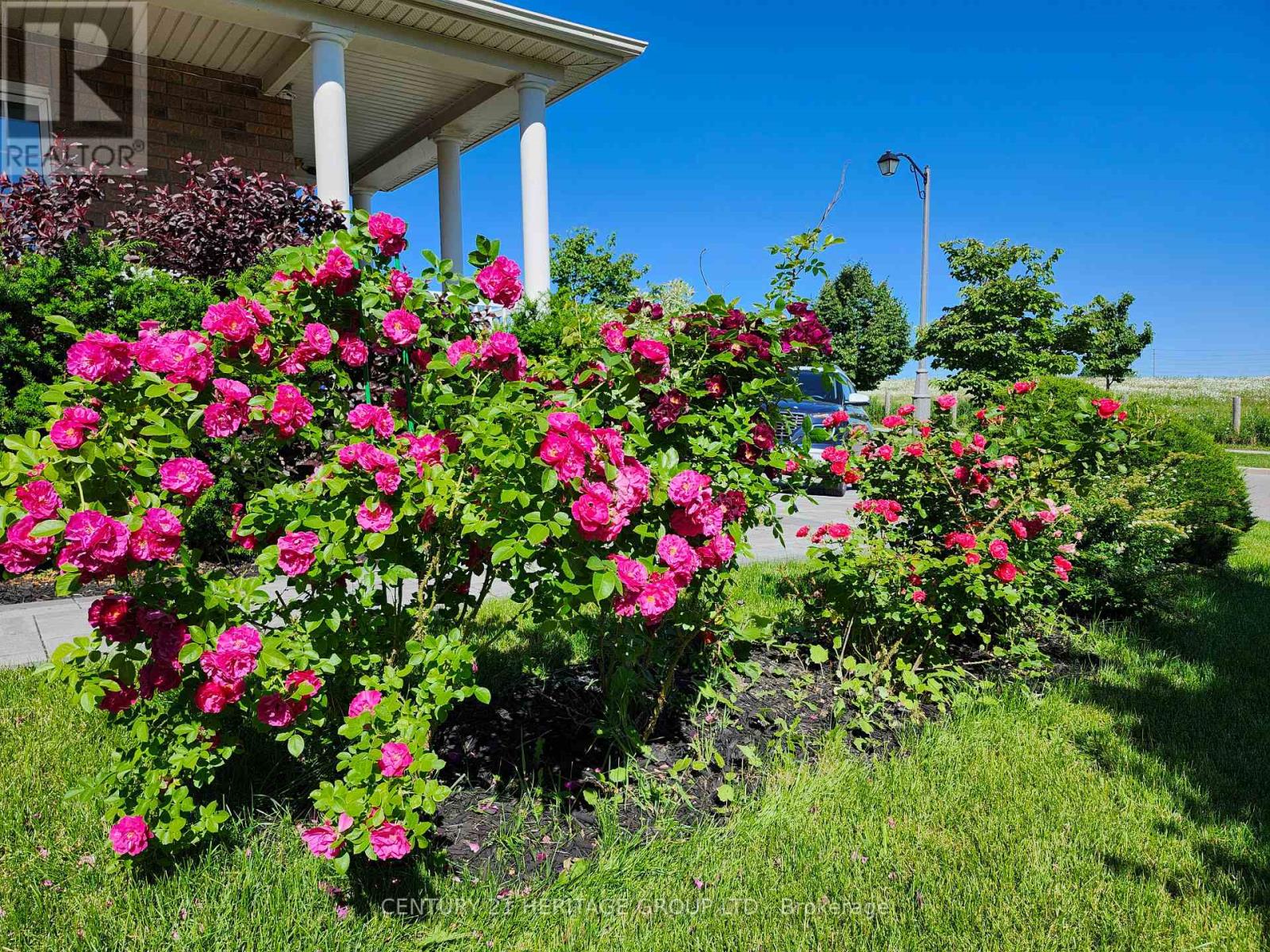 117 Four Seasons Crescent, Newmarket, Ontario  L9N 0C4 - Photo 42 - N13029616