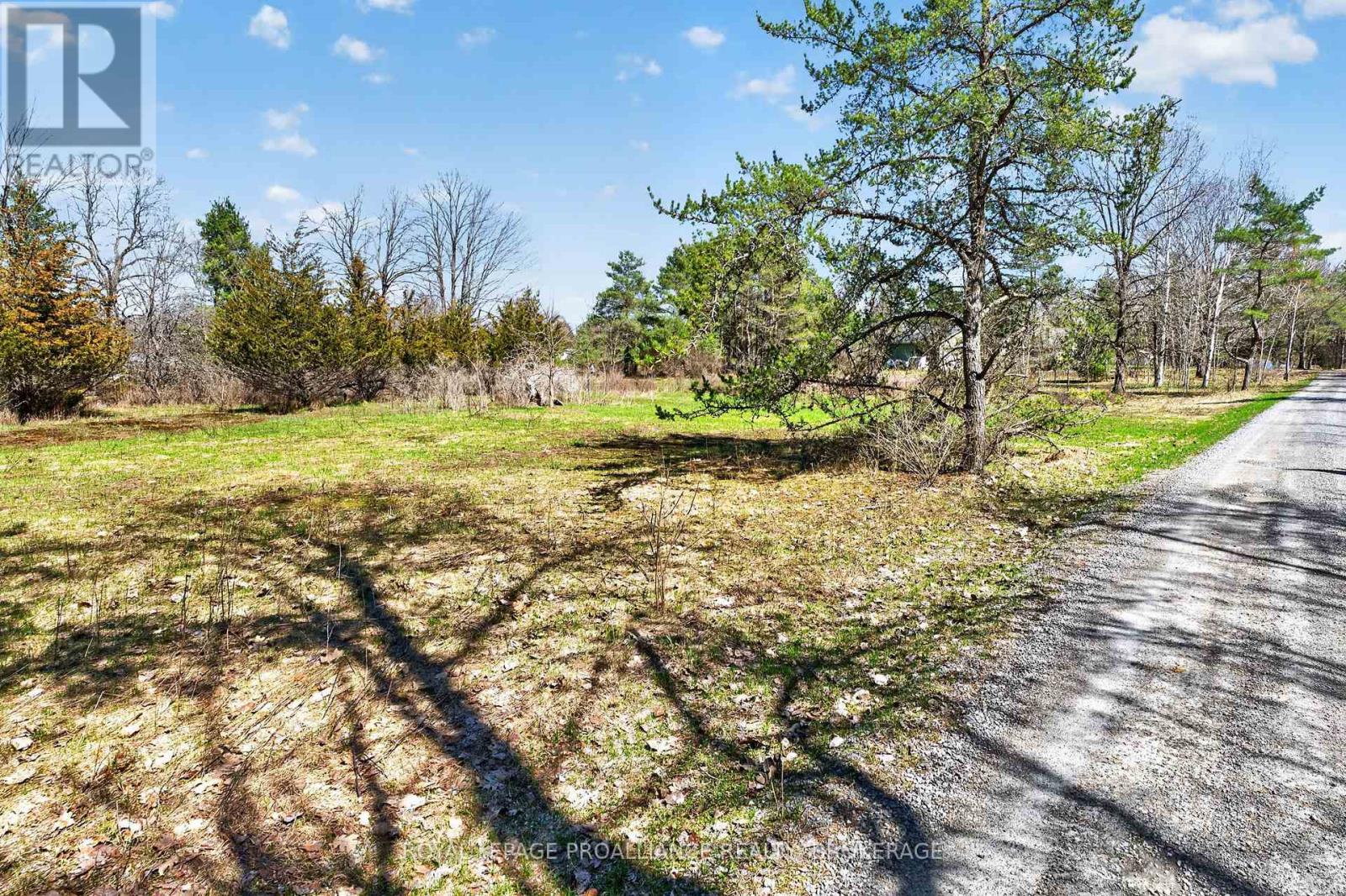 Pt Lt 4 Blue Heron Lane, Rideau Lakes, Ontario  K0G 1X0 - Photo 10 - X13029848