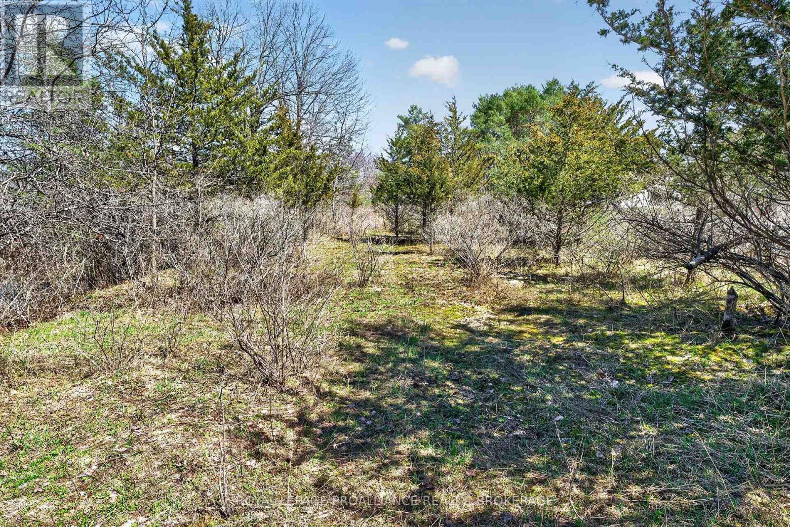 Pt Lt 4 Blue Heron Lane, Rideau Lakes, Ontario  K0G 1X0 - Photo 11 - X13029848