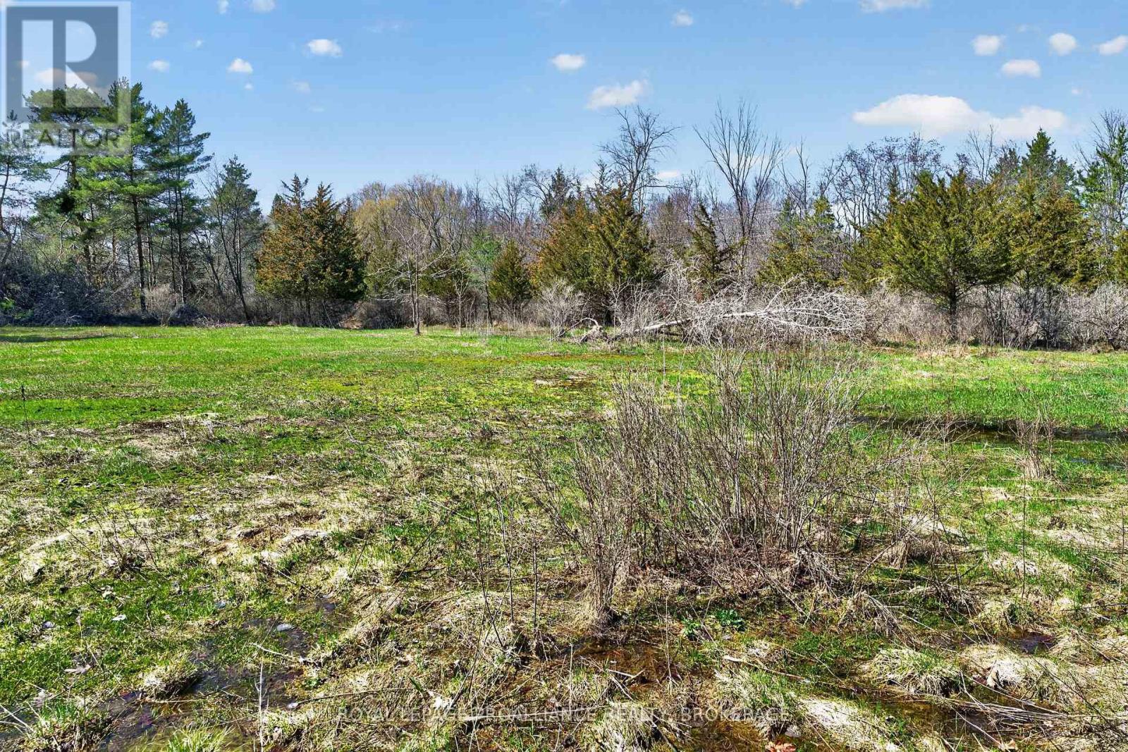 Pt Lt 4 Blue Heron Lane, Rideau Lakes, Ontario  K0G 1X0 - Photo 12 - X13029848