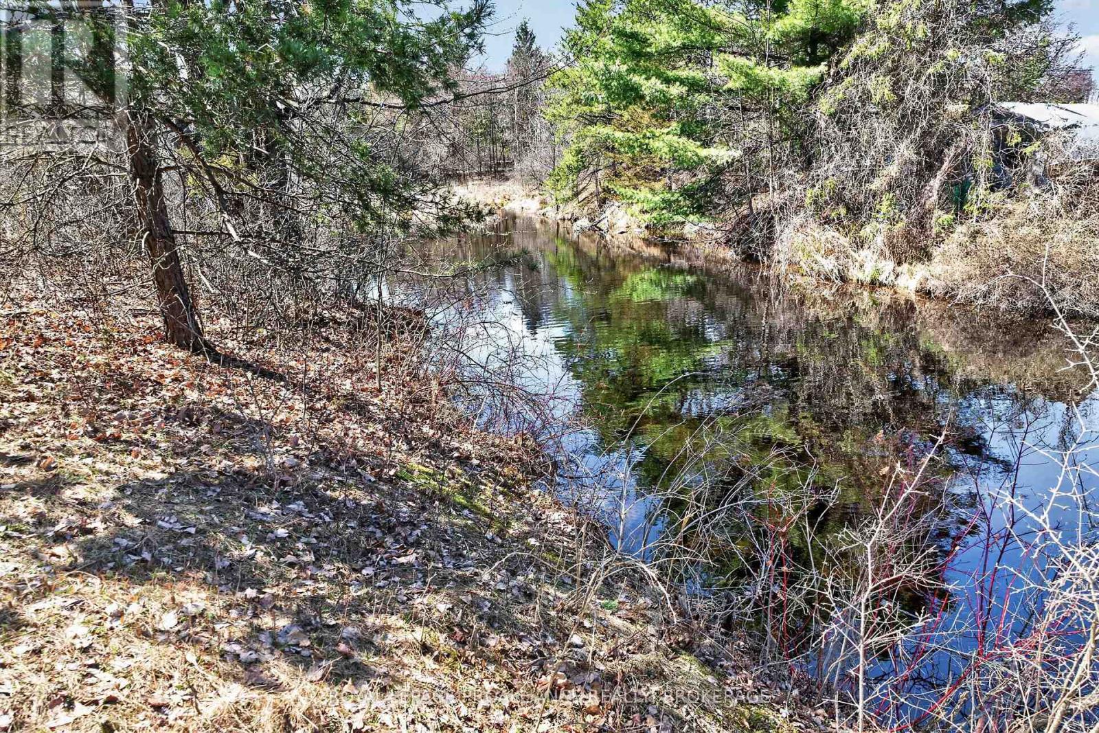 Pt Lt 4 Blue Heron Lane, Rideau Lakes, Ontario  K0G 1X0 - Photo 23 - X13029848