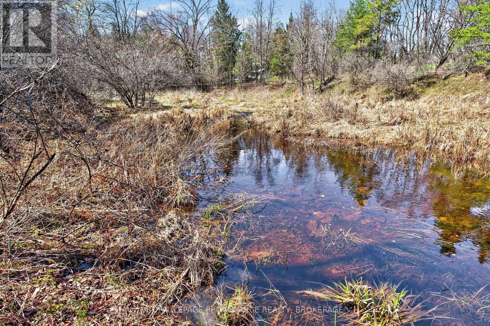 Pt Lt 4 Blue Heron Lane, Rideau Lakes, Ontario  K0G 1X0 - Photo 25 - X13029848