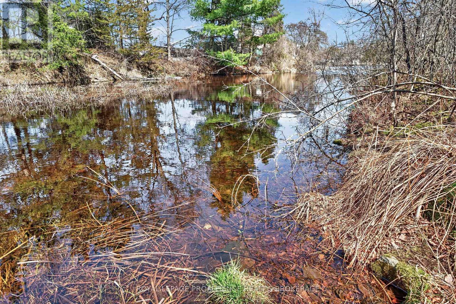 Pt Lt 4 Blue Heron Lane, Rideau Lakes, Ontario  K0G 1X0 - Photo 26 - X13029848