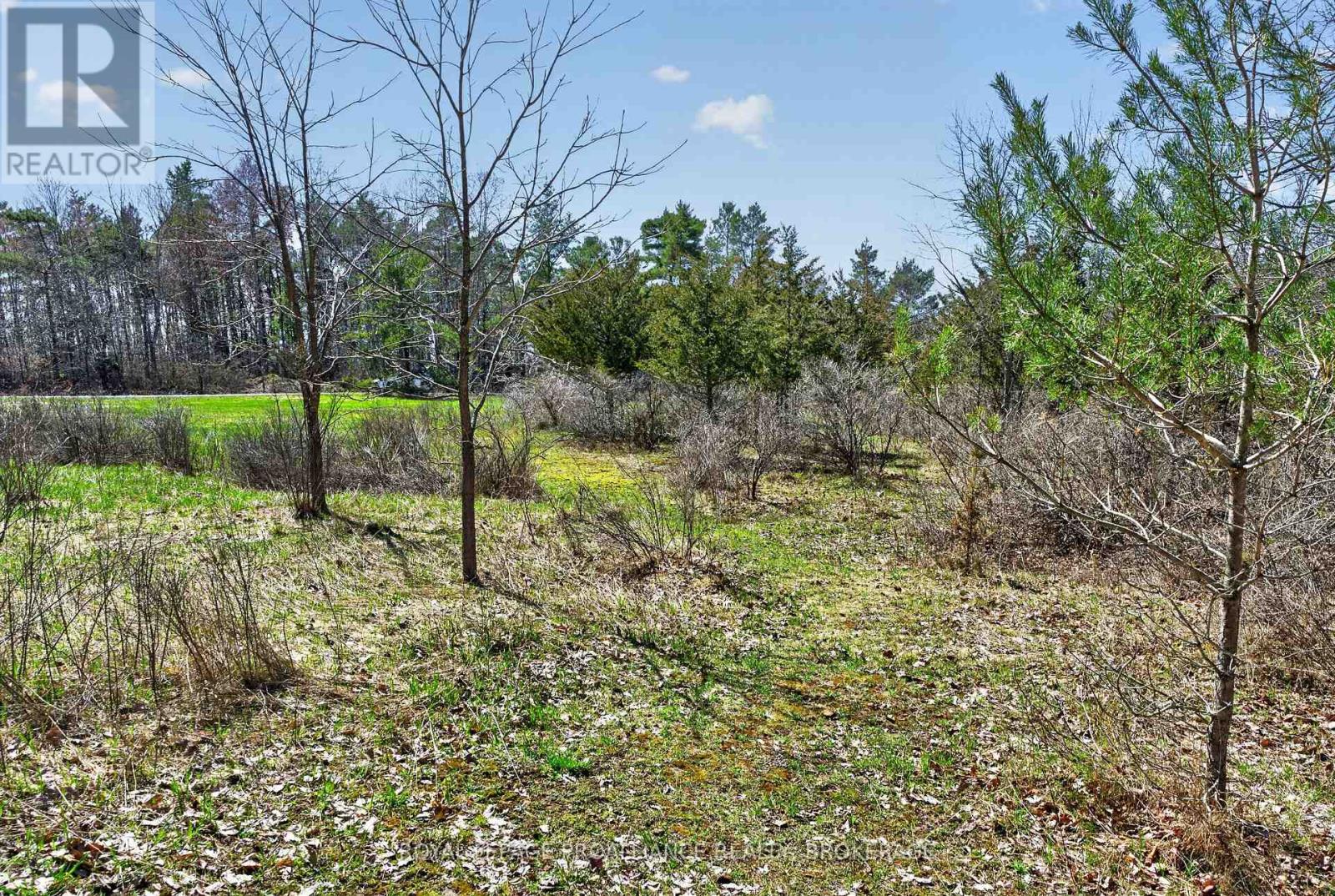 Pt Lt 4 Blue Heron Lane, Rideau Lakes, Ontario  K0G 1X0 - Photo 4 - X13029848