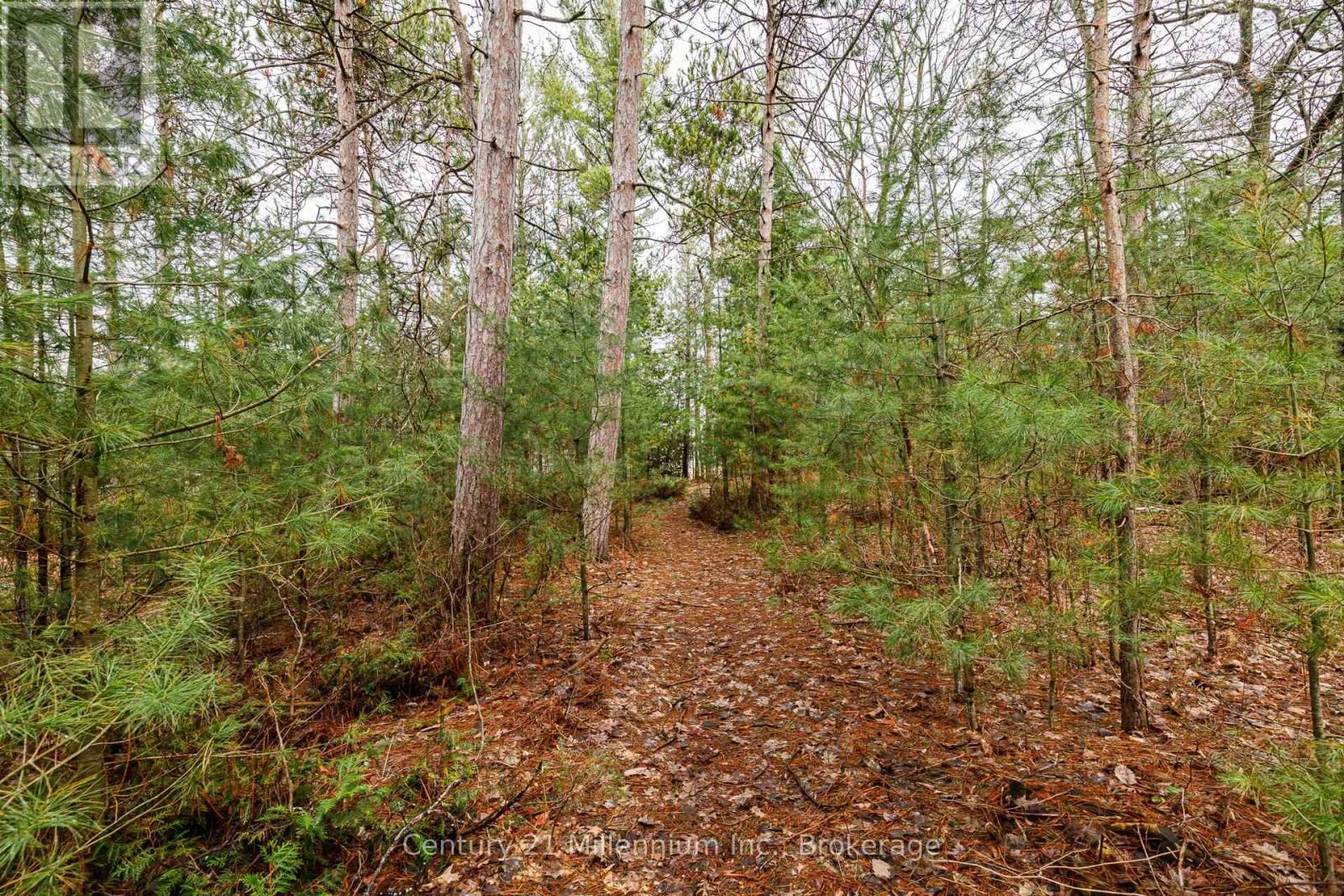 8 Poplar Street, Wasaga Beach, Ontario  L9Z 2X5 - Photo 13 - S13025998